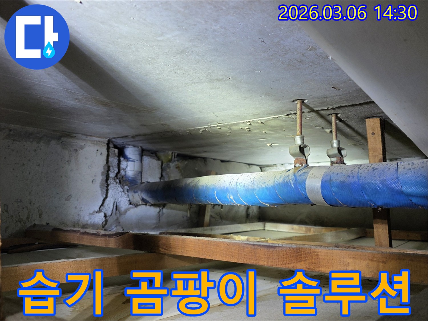 지하 공간의 파란색 배관 주변-습기로 인해 손상된 콘크리트 벽면을-누수 엔지니어가-습기 제거 및 곰팡이 방지 솔루션을-제공하기 위해 점검하는 모습