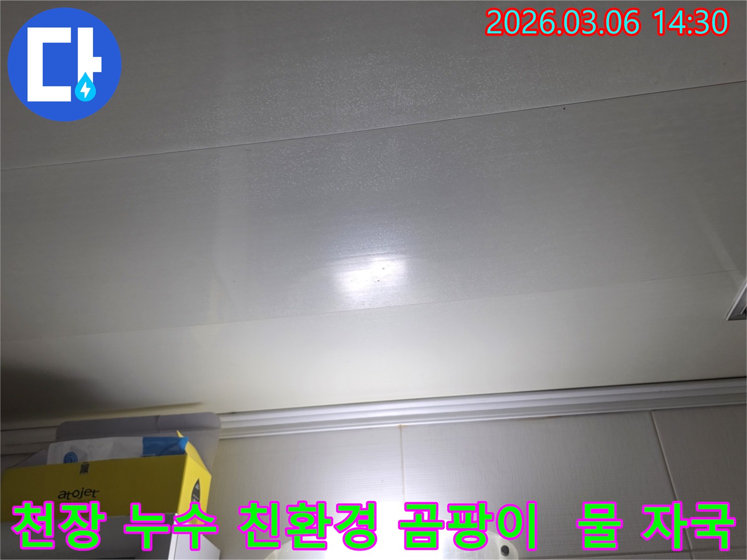 천장 표면에-나타난-누수-자국은-친환경-곰팡이-제거와-방지가-필요함을-보여줍니다