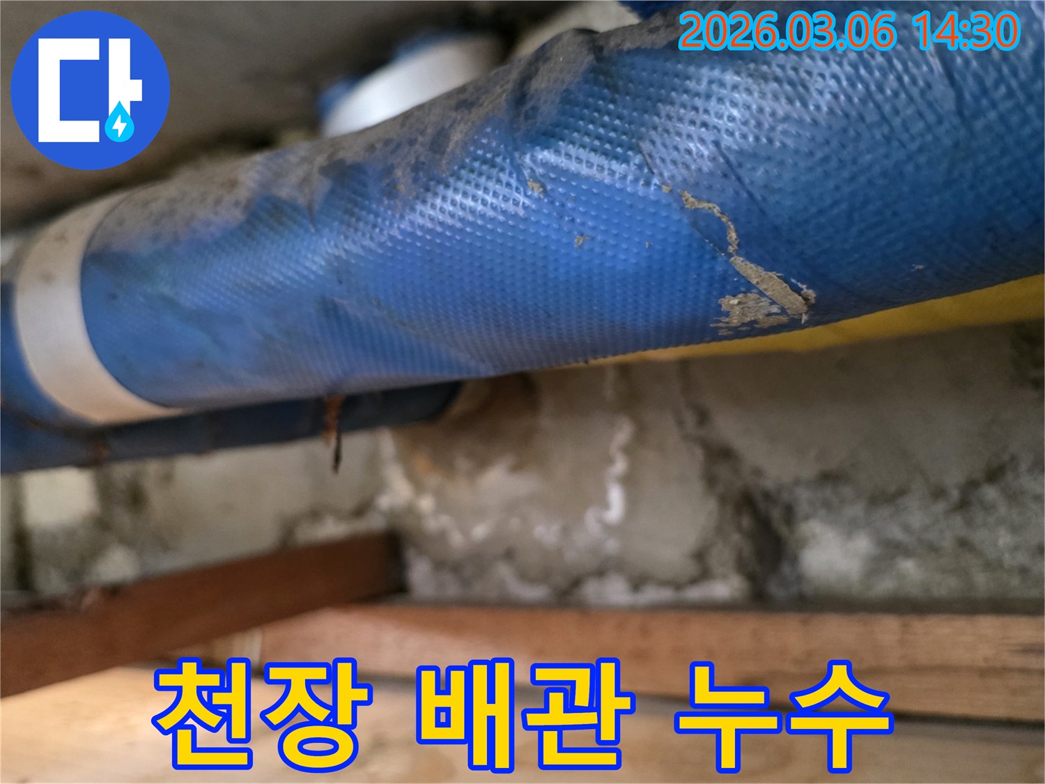 천장 하부-파란색 배관과-젖은 콘크리트 벽면-그리고 나무 지지대를-꼼꼼히 점검하는 모습