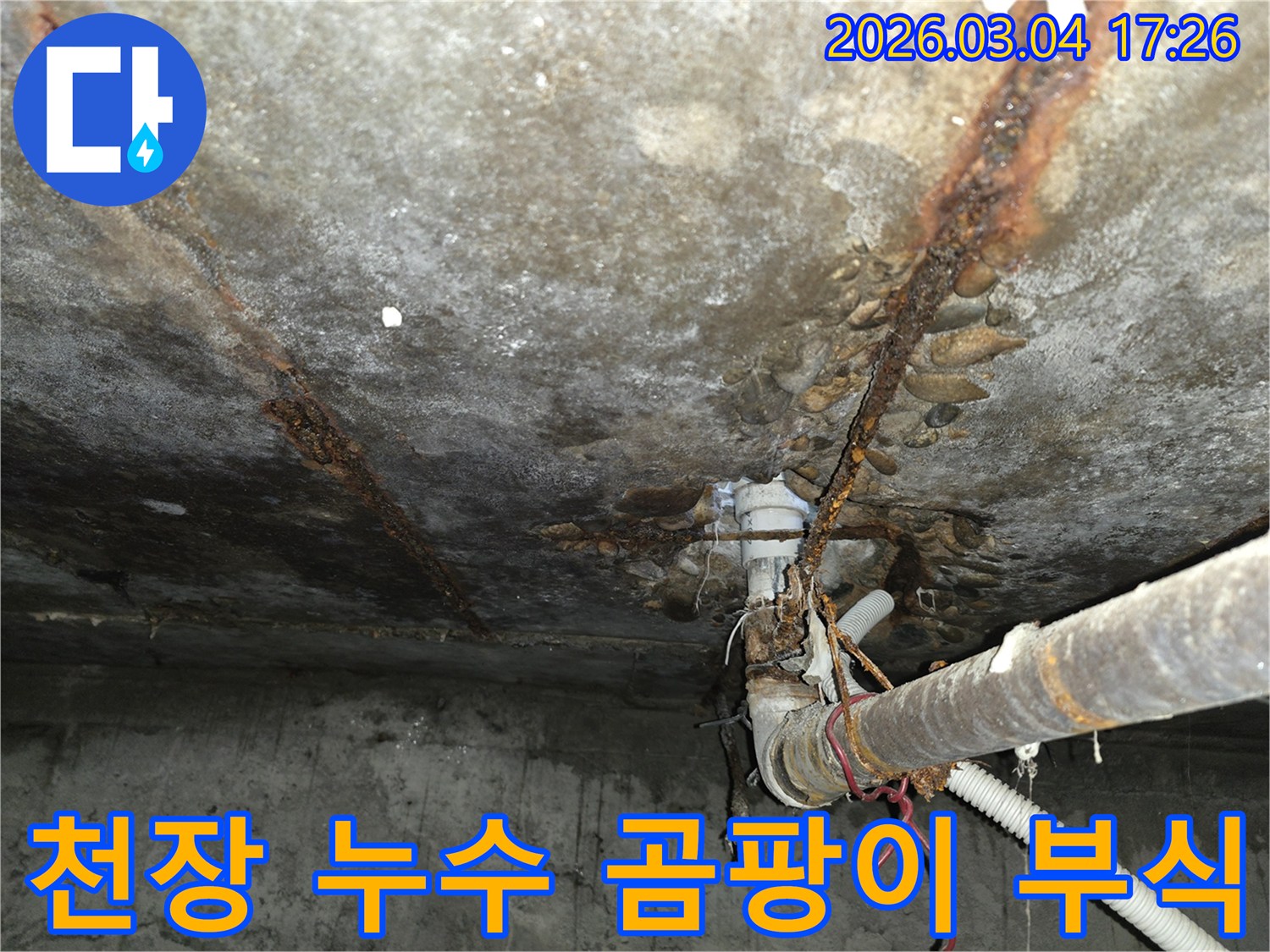 이 사진은- 천장에서 발생한 누수로 인해- 콘크리트 표면에- 곰팡이와- 부식 흔적이- 선명하게 보이는- 현장을 담고 있습니다