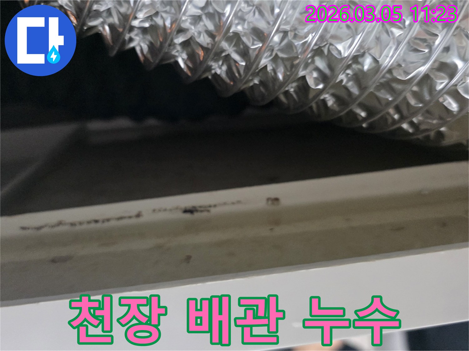 물이-새면서-생긴-어두운-얼룩과-물때를-면밀히-검토하는-누수-탐지-현장입니다.