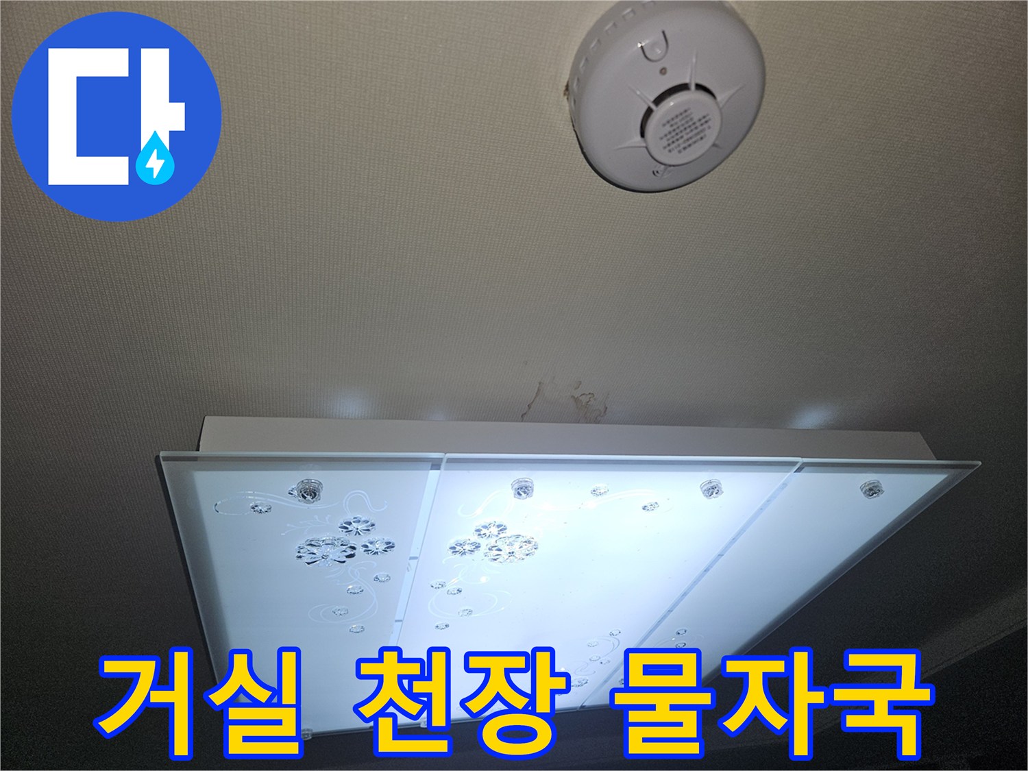아랫집 거실 천장 조명 주변의 누수 얼룩과 습기 상태