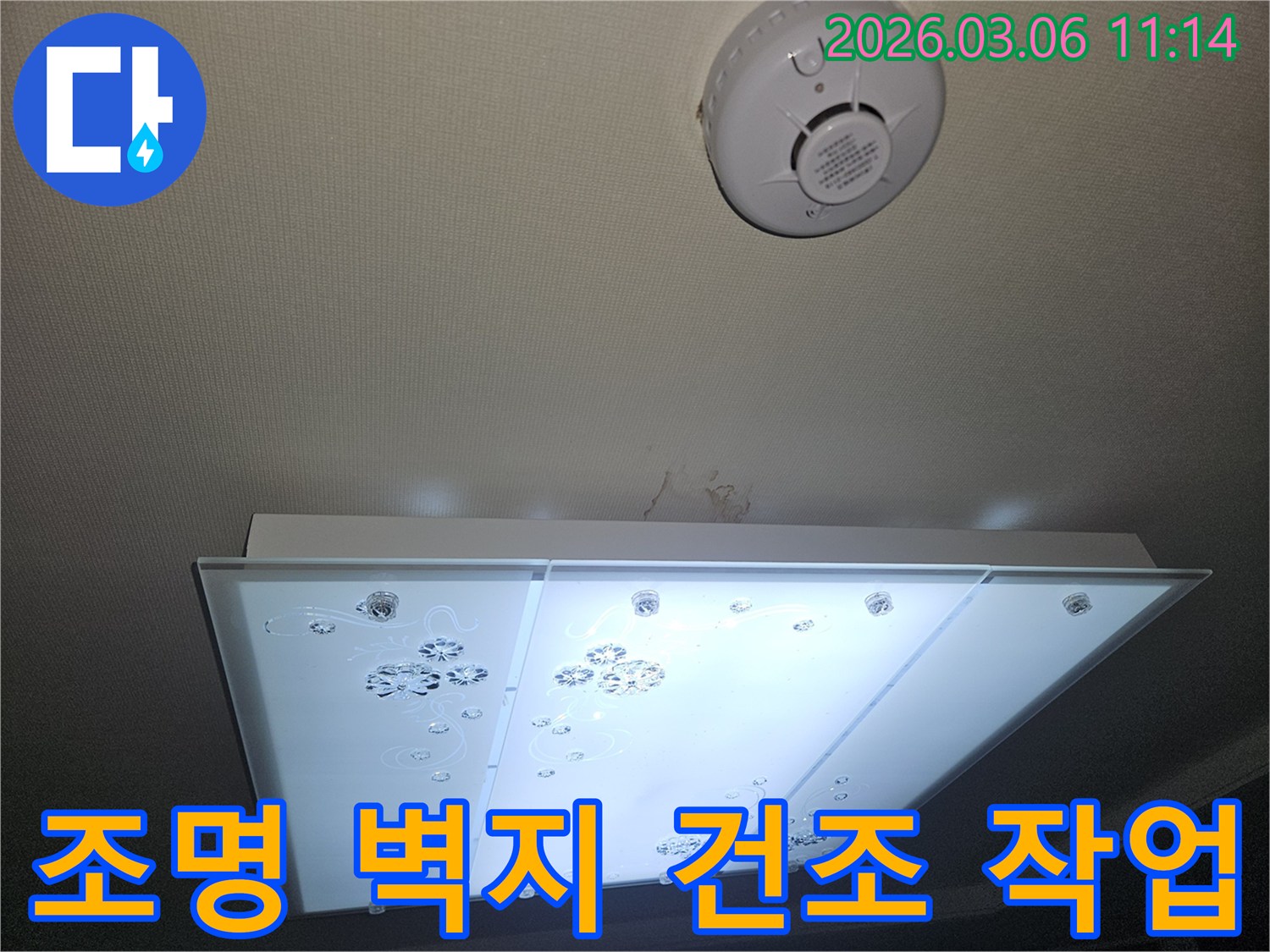 천장 조명 아래 누수로 젖은 벽지 흔적을-전문가가 확인하며 건조 및 보수 계획을 세우는 모습