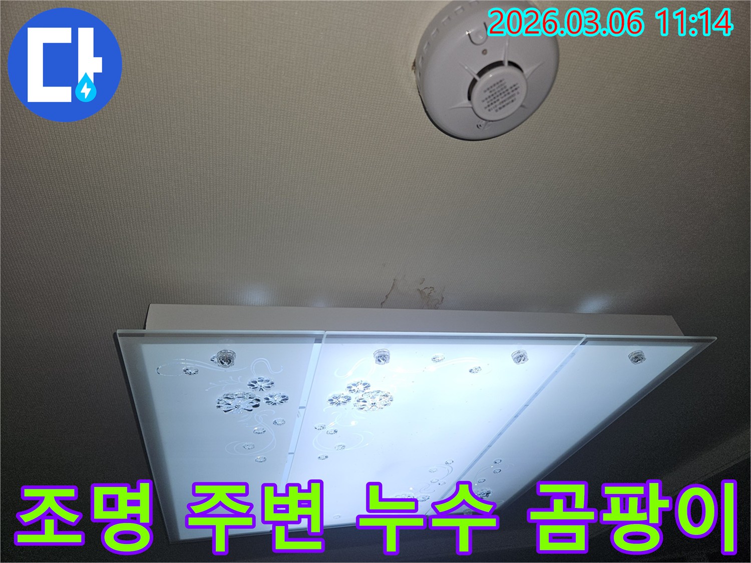 천장 조명 주변에 나타난 누수 흔적과-초기 곰팡이 발생 가능성을 확인하는 모습