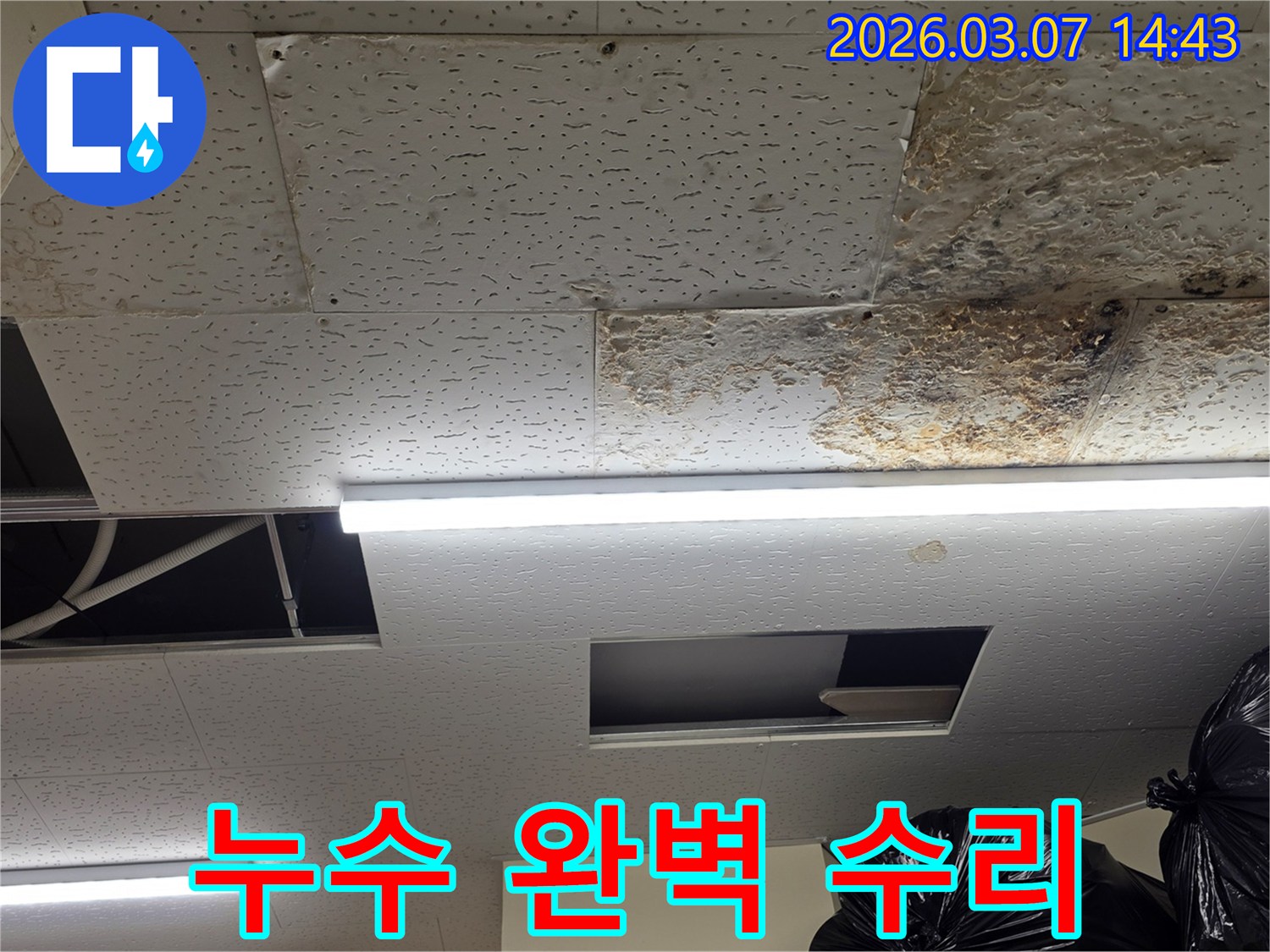 누수로-손상된-천장 텍스-현장을-보여주며-누수 피해-진단부터-완벽한-수리까지-모든-과정을-책임지는-모습을-연상시키는-사진입니다