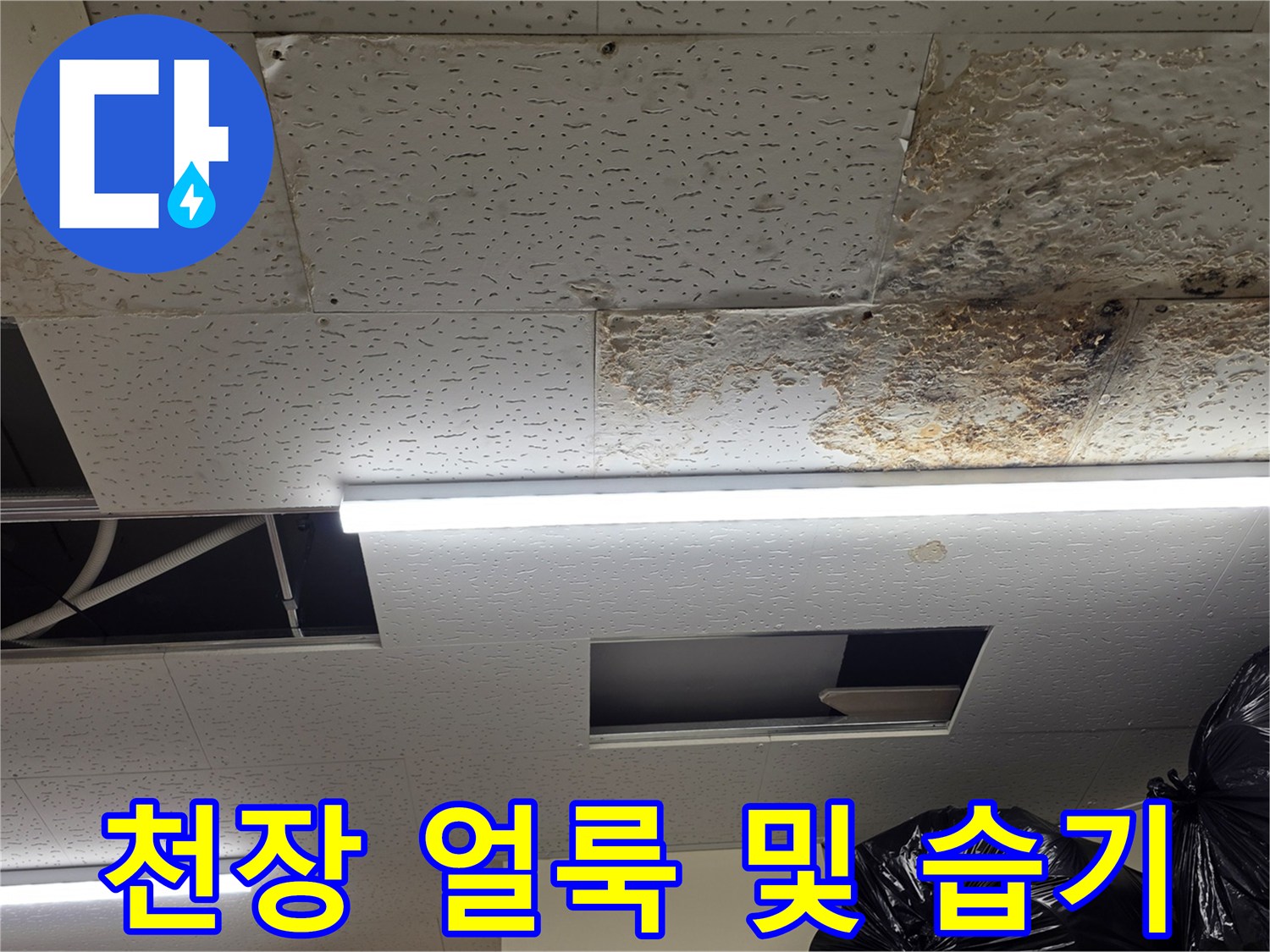 물-침투로-얼룩진-천장-텍스-마감재