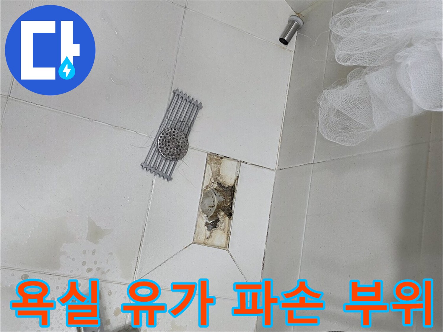 배수구 유가-깨진 틈새로 물이 고여 있는 모습입니다