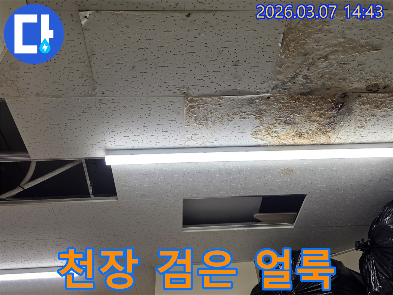 천장 텍스에-누수로 인한-검은-얼룩이-선명하게-보이는-현장-사진으로-곰팡이-제거가-시급합니다