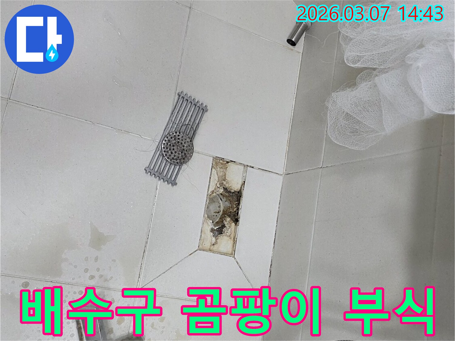 화장실 배수구 주변에-발생한 곰팡이와-부식 현상을-보여주는 이미지입니다