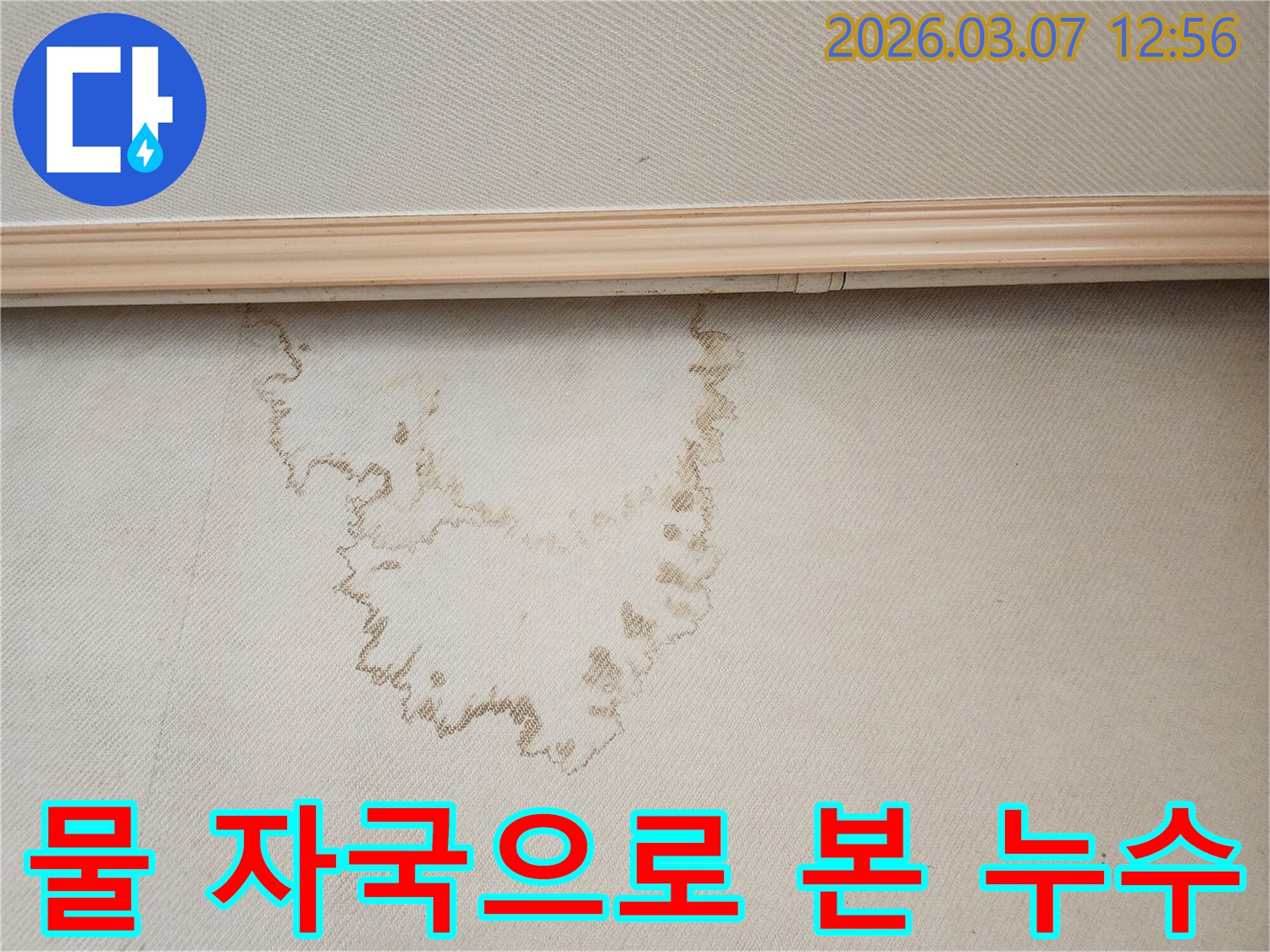 젖은 천장 표면에서 발견된 물 자국은-누수 문제 해결을 위한 첫 단계입니다