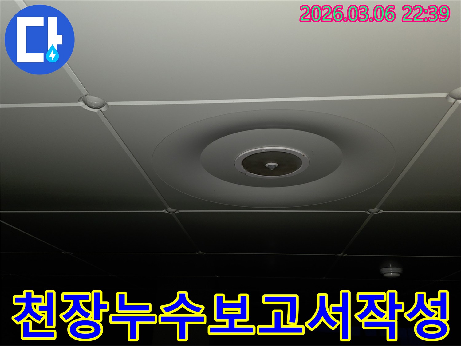 누수 전문가가-천장 누수-탐지-결과와-현장-사진을-바탕으로-정확한-진단-보고서를-작성하는-모습