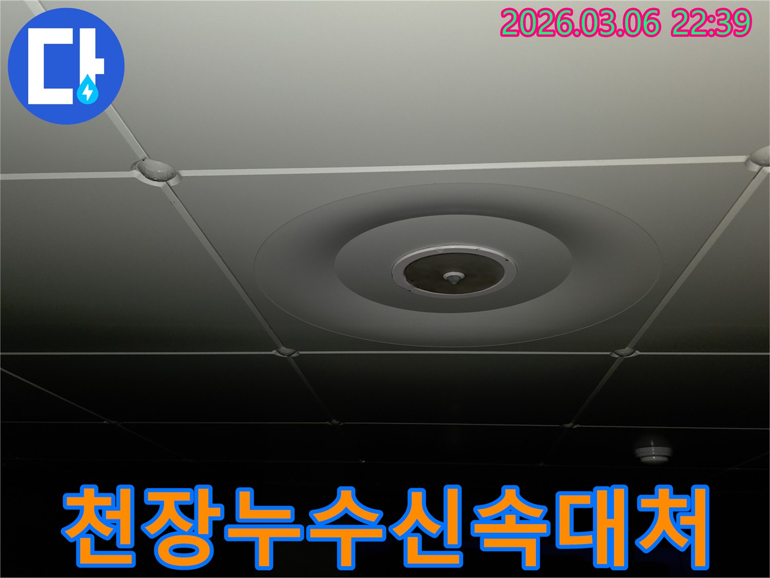 누수 전문가가-천장 누수-현장을-신속하게-점검하며-더 큰-피해를-막기-위한-초기-대응을-하는-모습