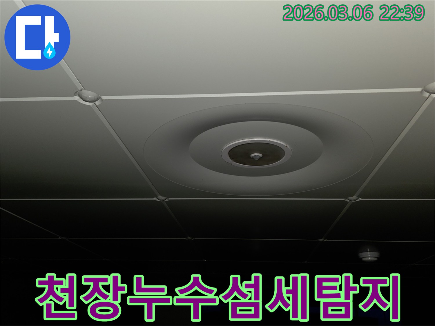 누수 전문가가-천장 마감재의-미세한-변화를-감지하며-누수 지점을-정확하게-찾아내기-위한-섬세한-탐지-작업을-진행하는-모습