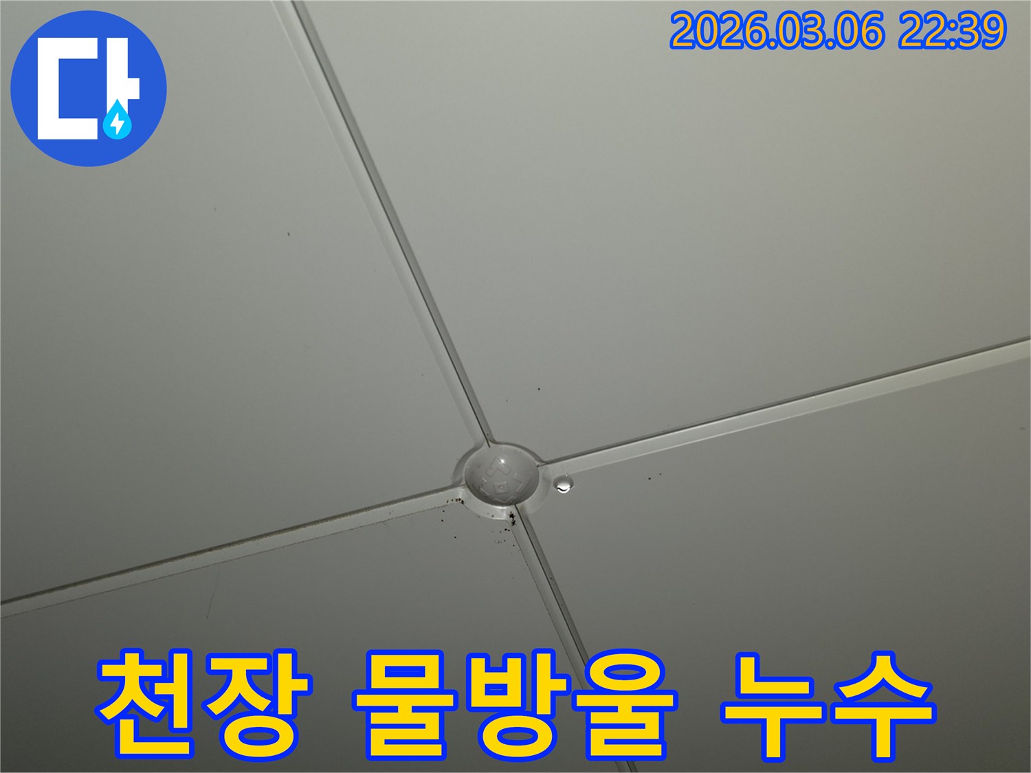 천장 마감재 교차점에서-물방울이 형성되어-떨어지기 직전의-누수 발생 현장