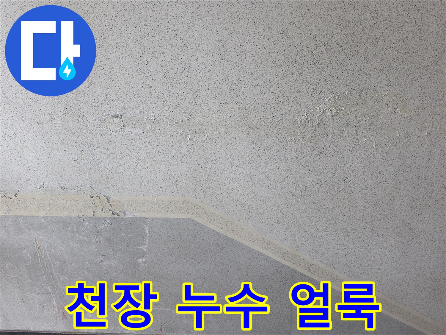원주 판부면 아파트 천장 면에 발생한 누수 흔적과 물얼룩 현상