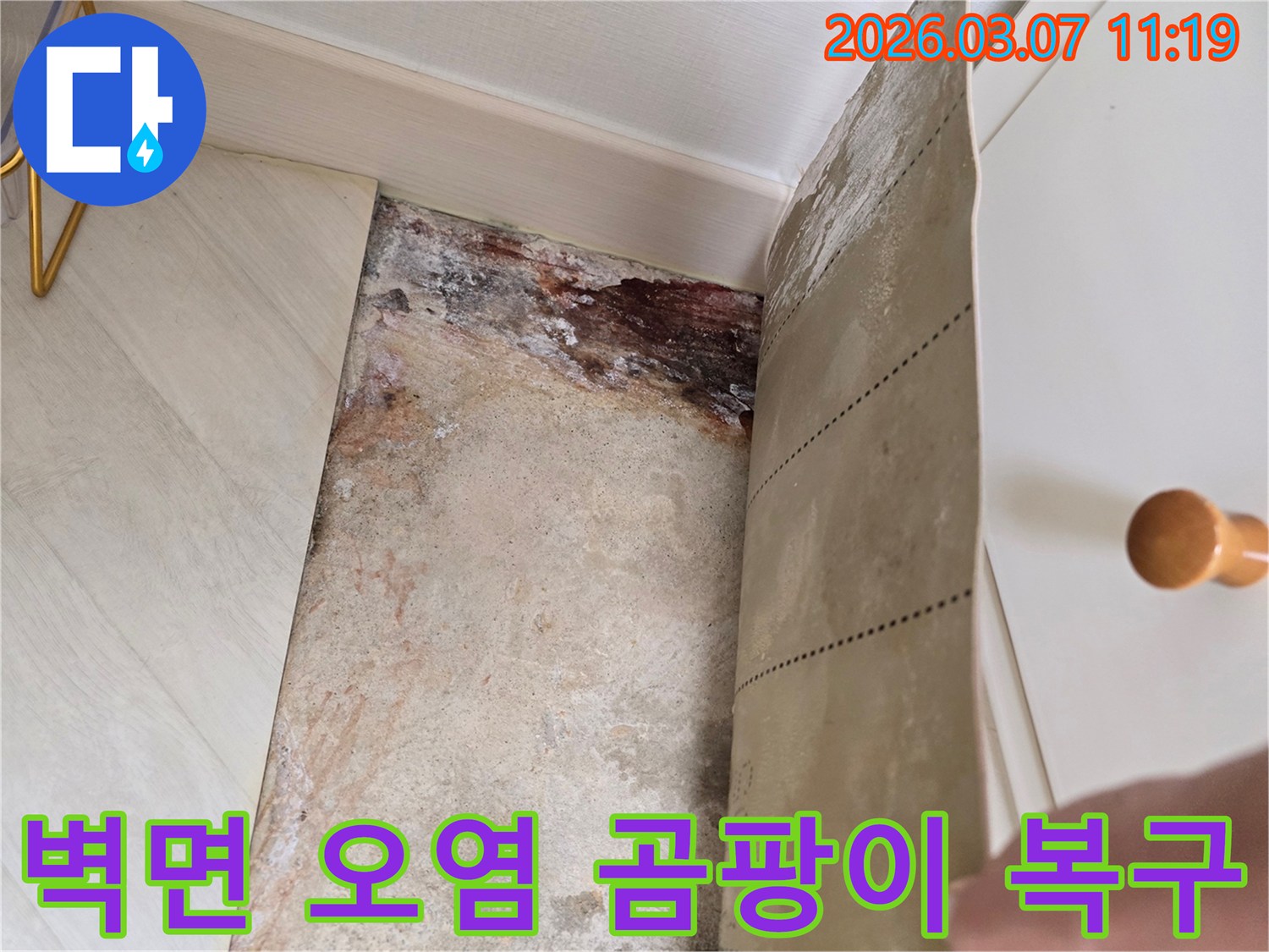벽지를 제거한 후 드러난 벽면의 심각한 오염과-곰팡이 흔적의 전문 복구 전 모습