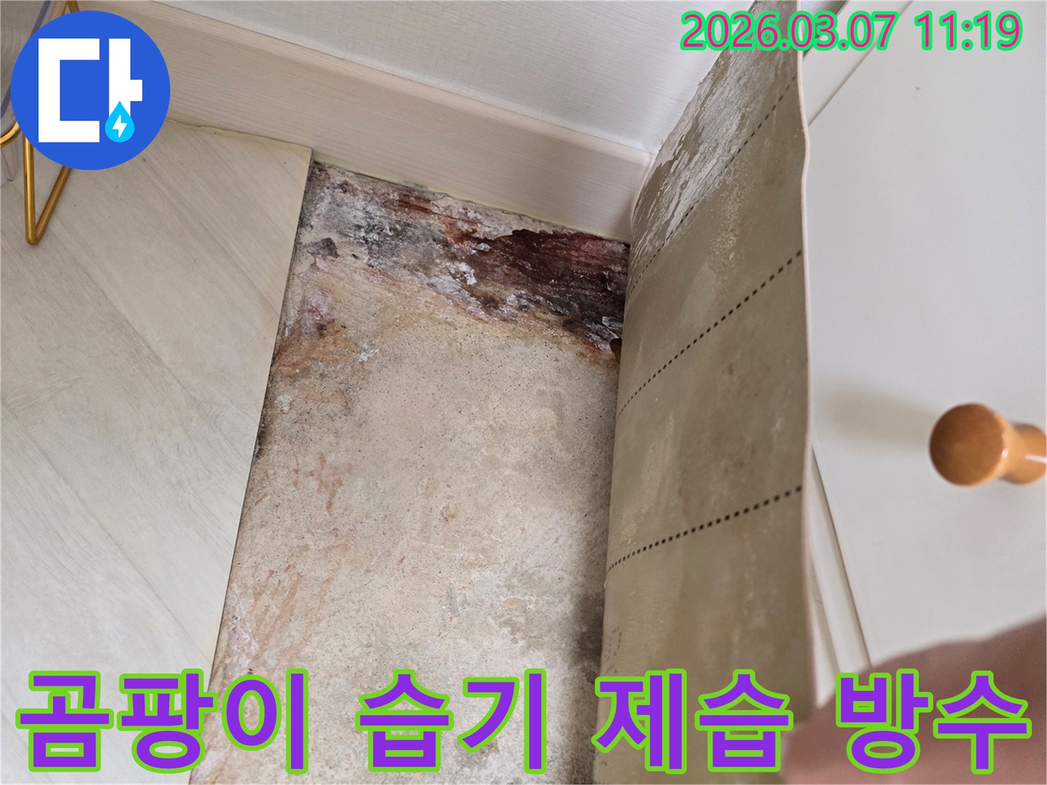 빌라 벽면에서 벽지를 제거한 후 드러난 심각한 곰팡이와-습기 흔적의 전문 제습 및 방수 전 모습