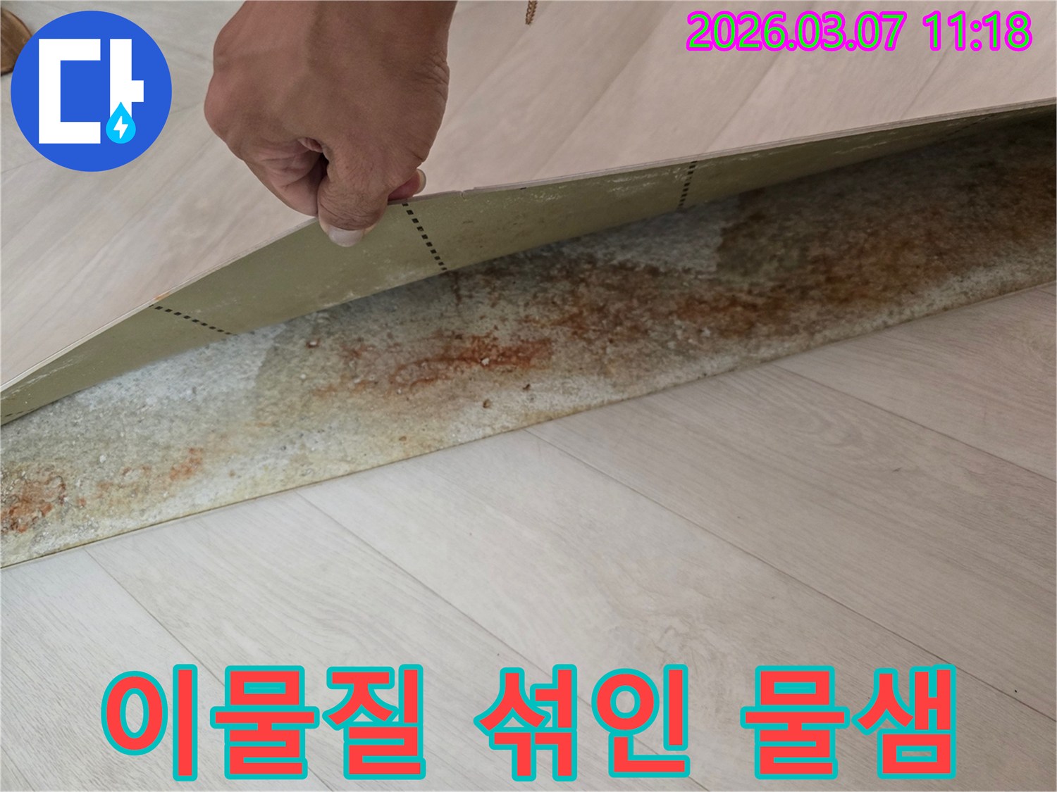 장판-밑에-숨겨진-녹물-자국과-이물질-섞인-물기-흔적이-뚜렷한-현장