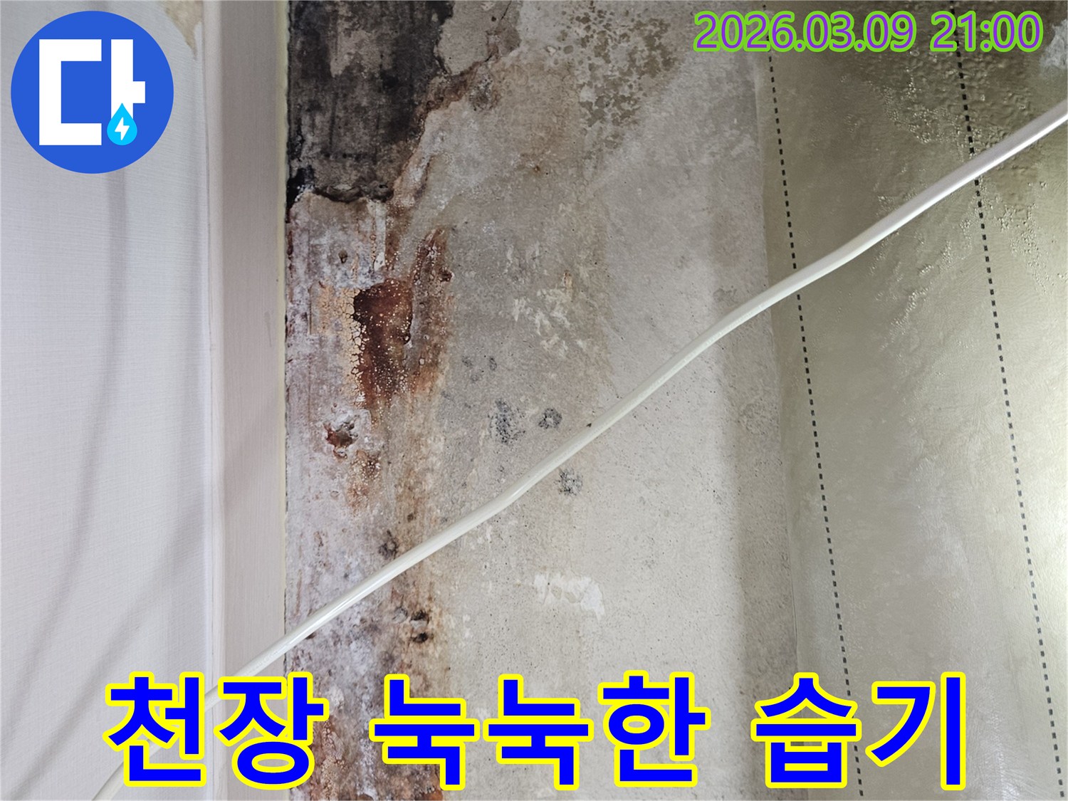 천장-누수로-인해-발생한-눅눅한-습기와-곰팡이-성장-환경을-보여주는-사진