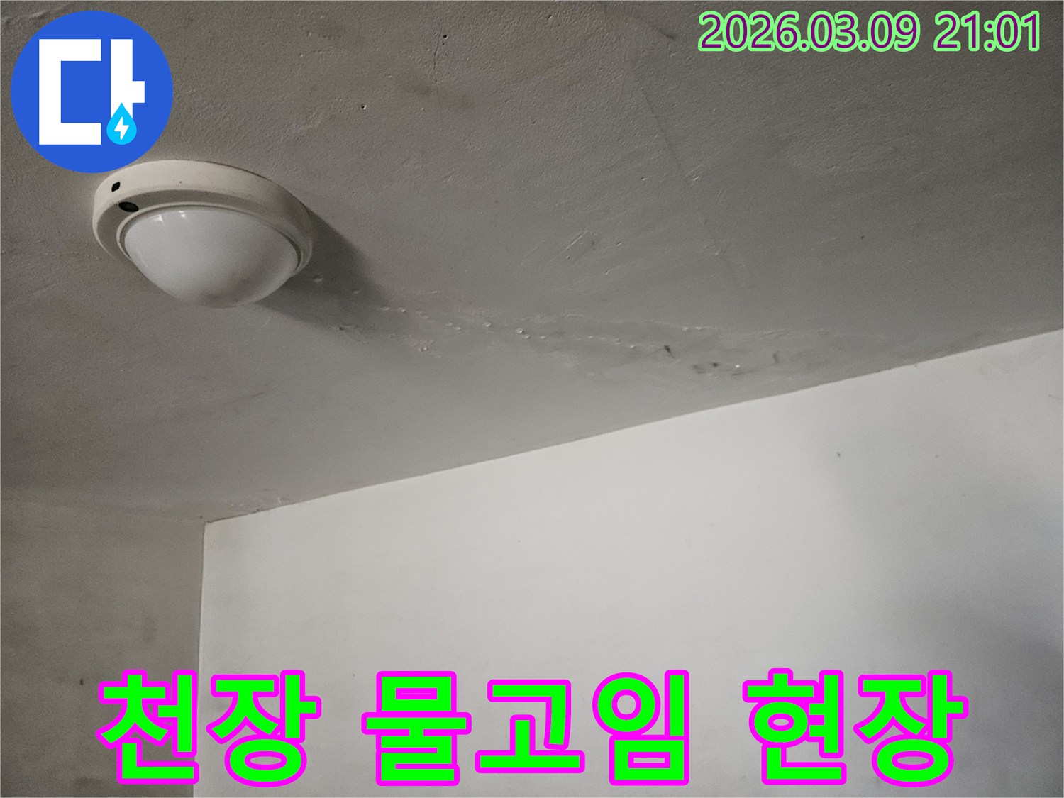 천장-조명-주변에-물이-고여-있는-모습과-젖은-자국이-보이는-심각한-누수-현장입니다