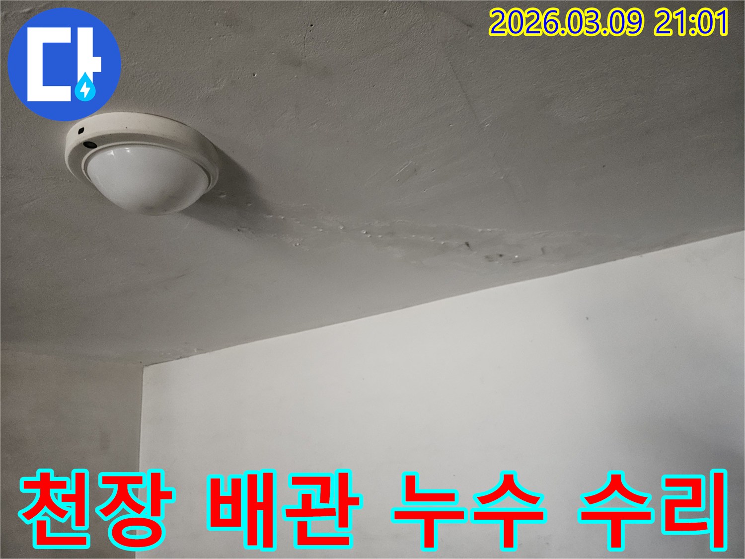 천장-조명-주변에서-물이-떨어지는-모습과-젖은-자국이-보이는-곳으로-배관-누수-수리가-필요한-현장입니다