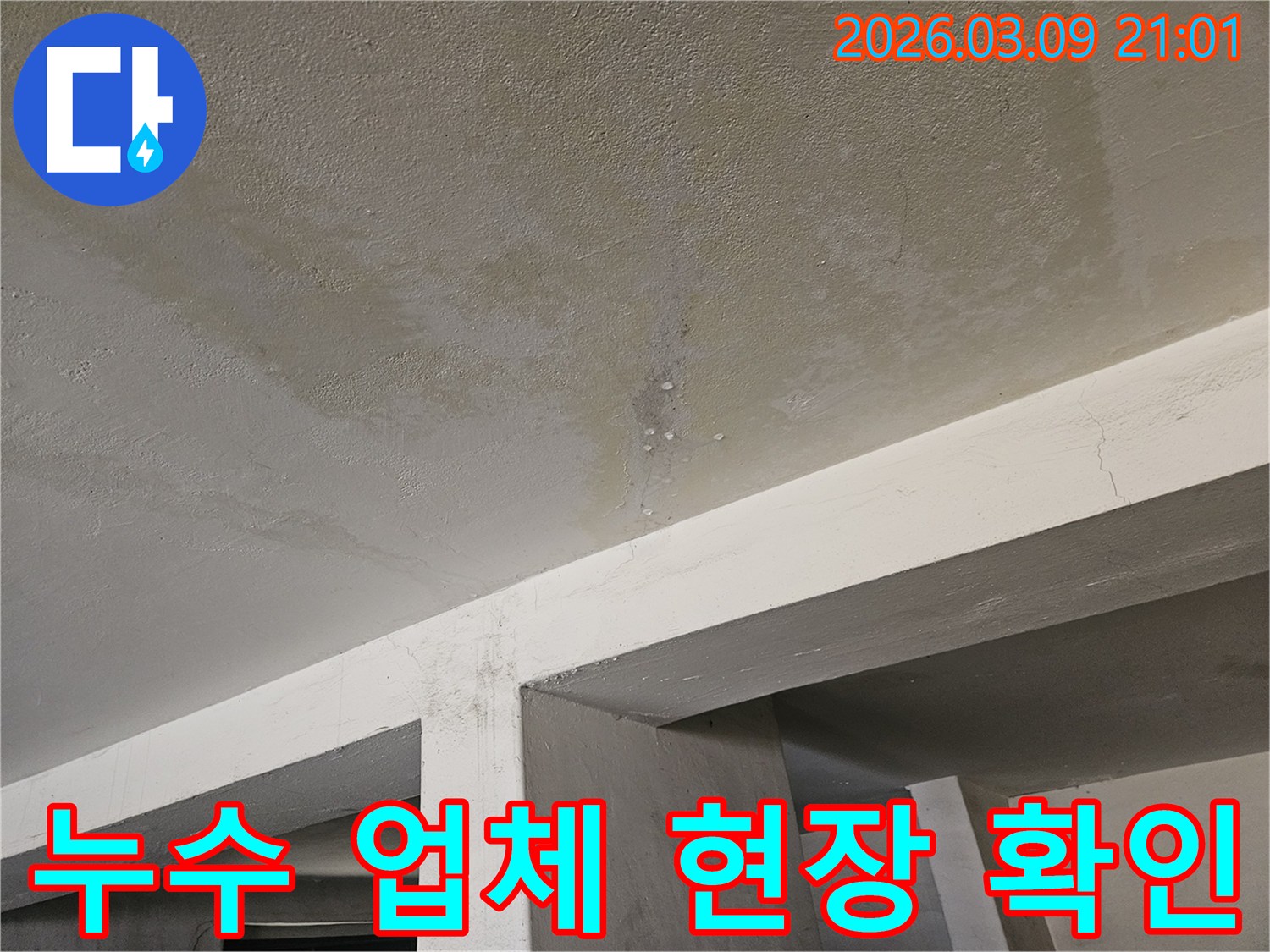 콘크리트 천장에서-물이 새어-얼룩지고-물방울이 맺힌-누수 현장을-누수 업체-엔지니어가-확인하는-모습입니다.