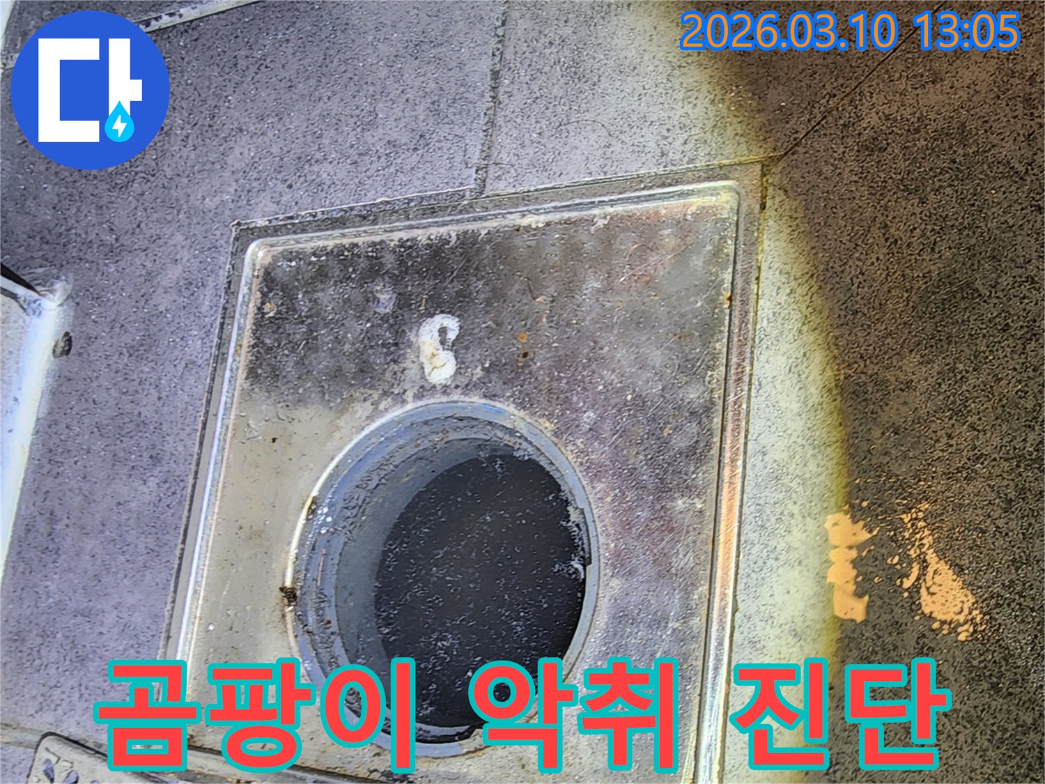 누수 엔지니어가 바닥 배수구 주변의 습기와 오염 상태를 통해 곰팡이 및 악취 발생 가능성을 진단하는 모습입니다