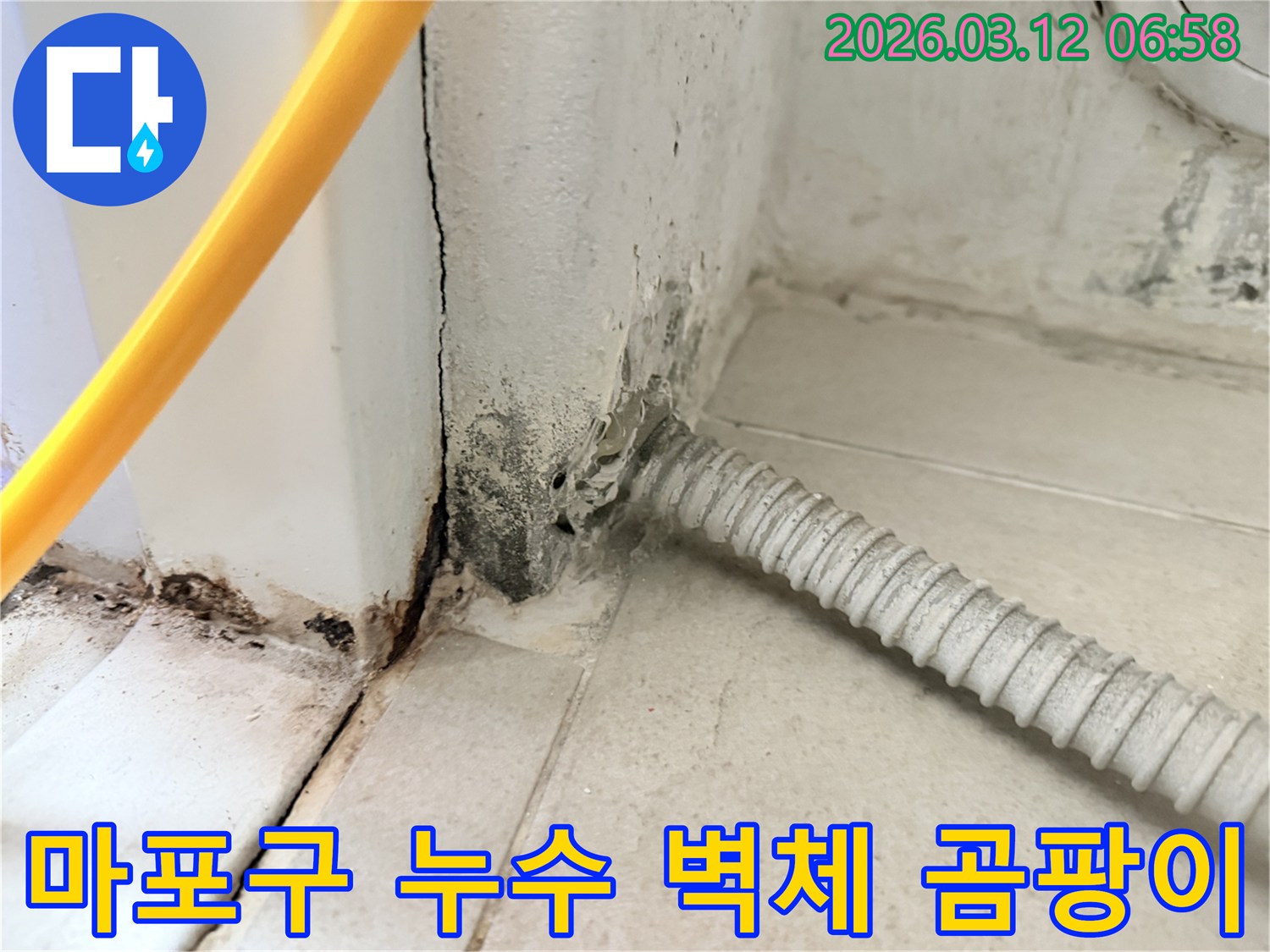 물샘-현상으로-인해-벽지가-손상되고-곰팡이가-번진-마포구-주택-내부