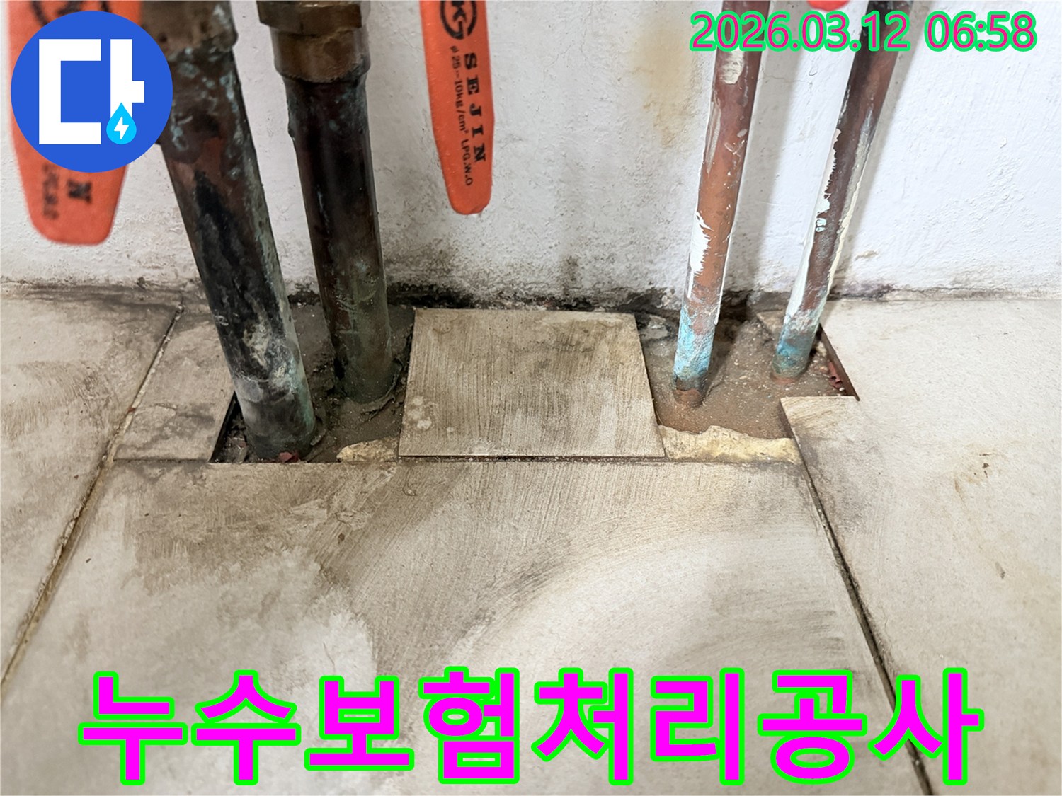 합정동-현장에서-보험-처리가-가능한-오래된-배관의-누수-지점을-확인하고-있습니다