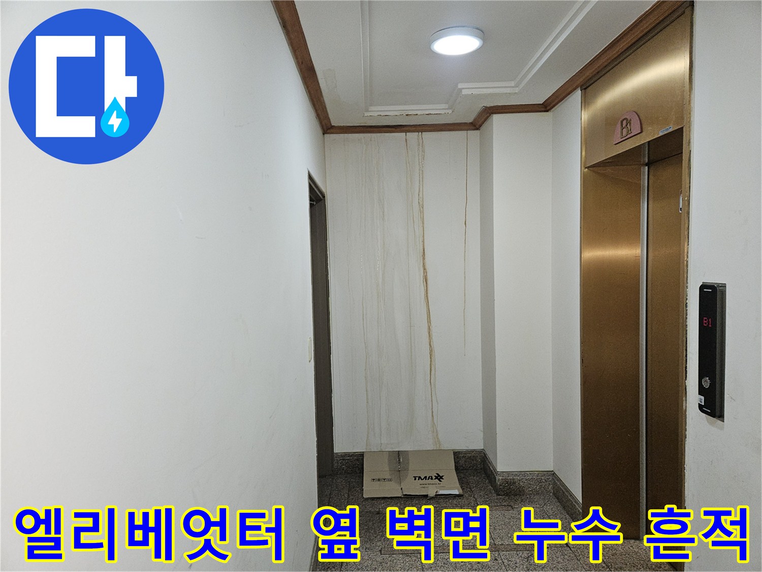 분당 구미동 빌라 엘리베이터 옆 벽면에 나타난 누수 자국과 습기 현상