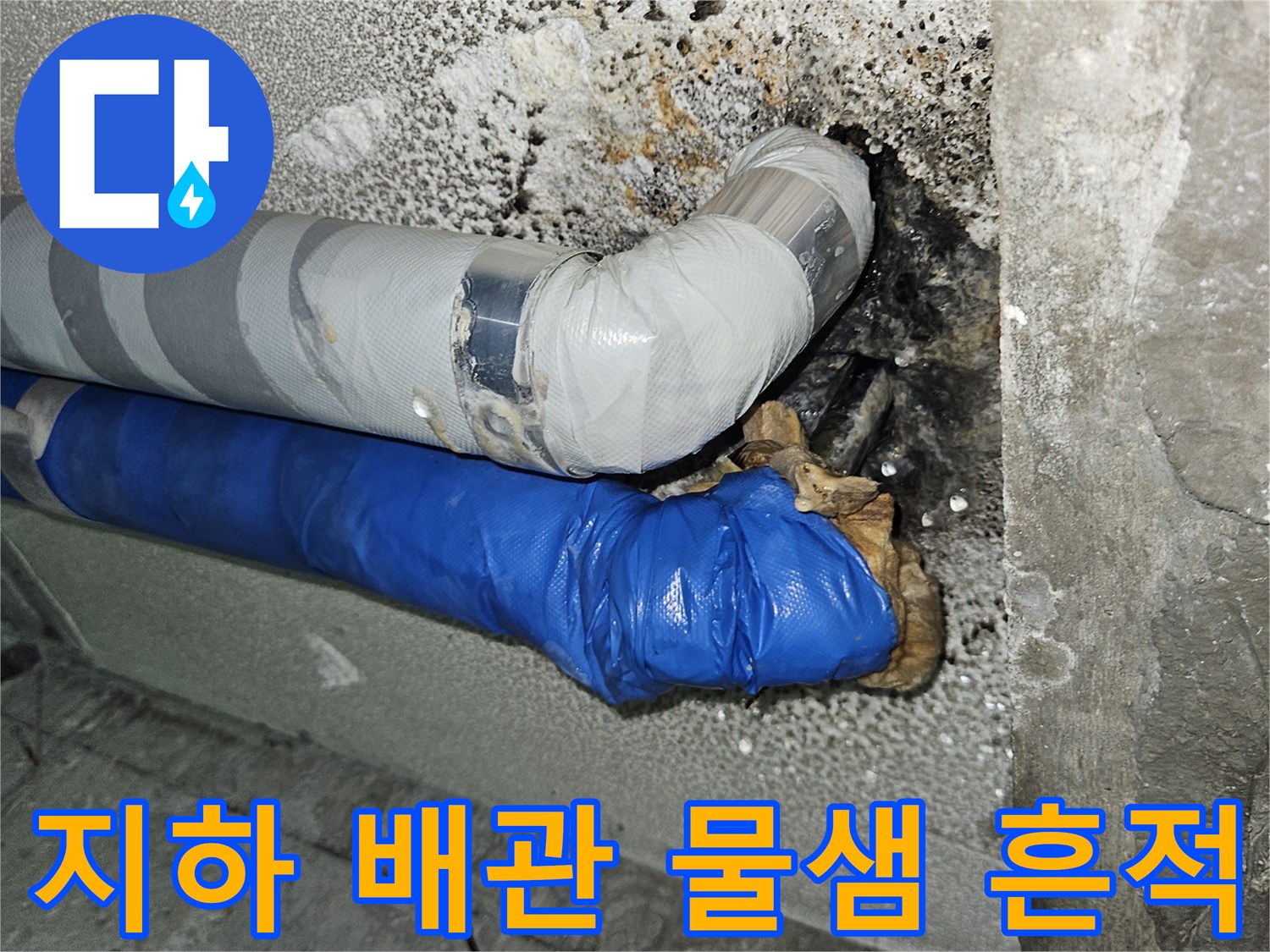 분당 구미동 빌라 지하 천장 배관의 누수 흔적과 젖은 보온재 상태