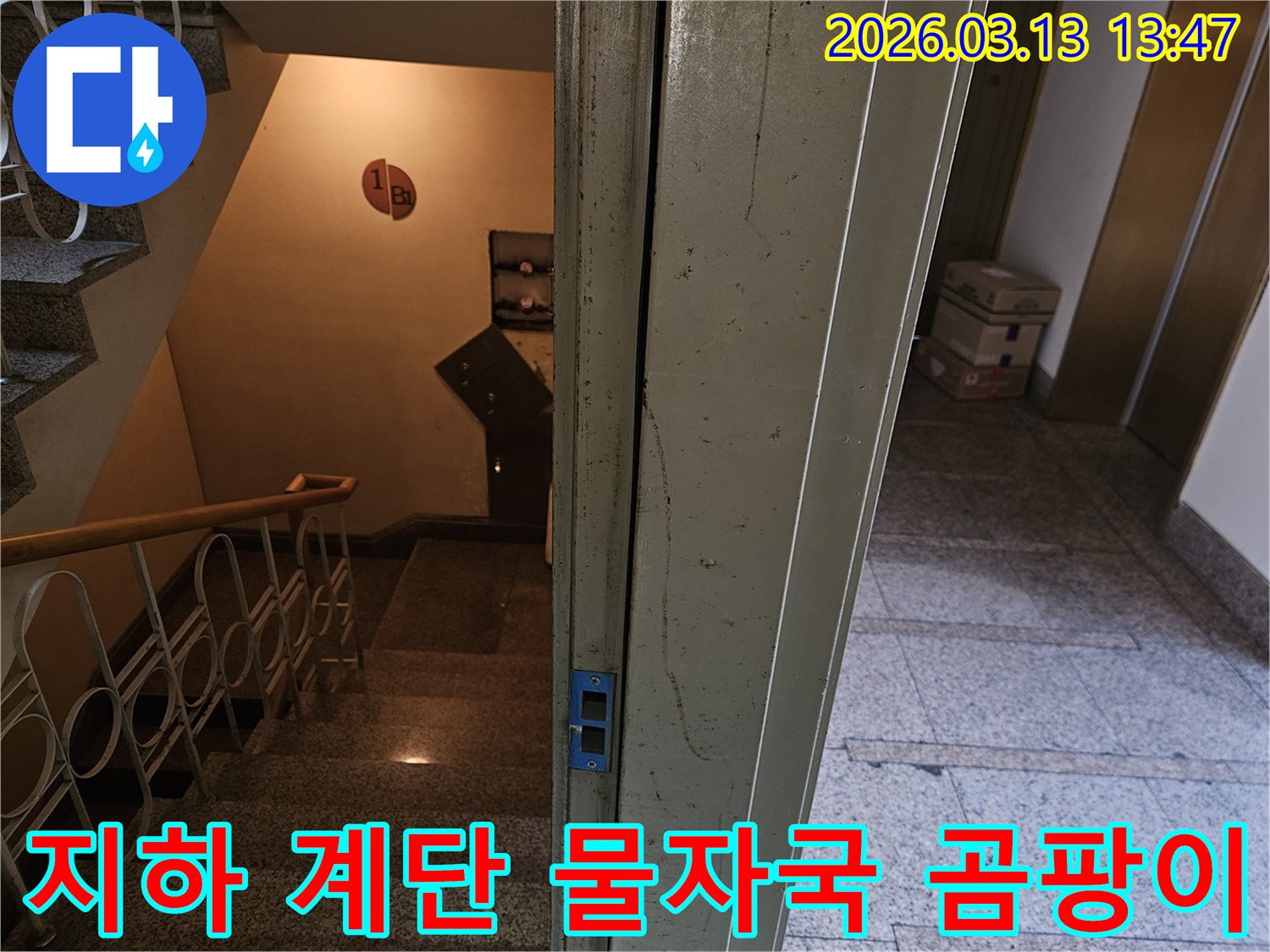 빌라-지하-계단-벽면과-문틀에-나타난-물자국과-곰팡이-흔적을-정밀하게-확인하며-누수-여부를-판단하는-모습