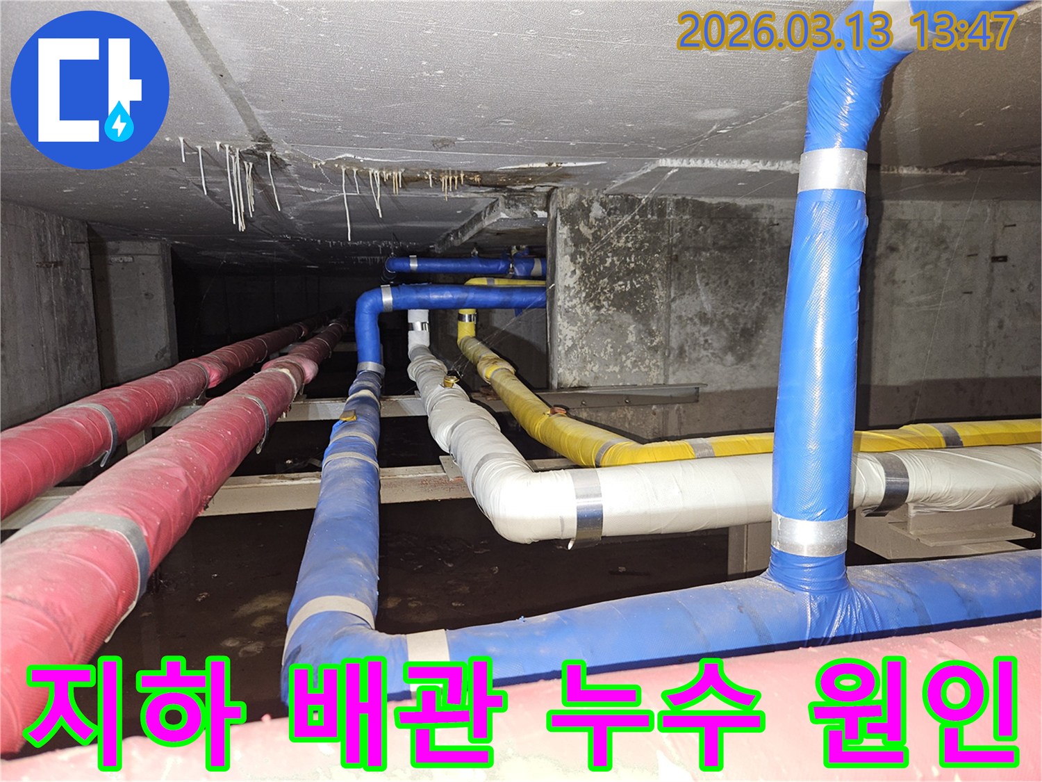 지하-공간의-복잡한-배관-시스템에서-발견된-누수의-근본적인-원인을-파악하는-전문가의-모습