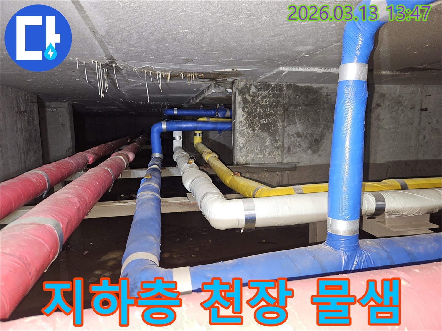 지하-공간의-콘크리트-천장에서-물방울이-떨어지는-심각한-누수-현장을-정밀하게-진단하는-모습