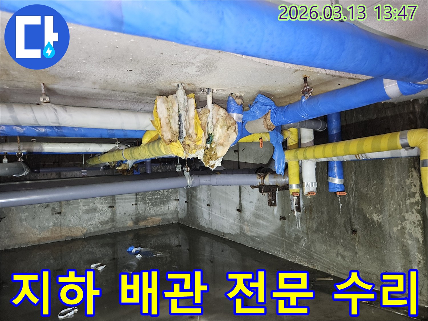 지하-배관의-복잡한-누수-문제를-전문적으로-해결하는-현장-모습