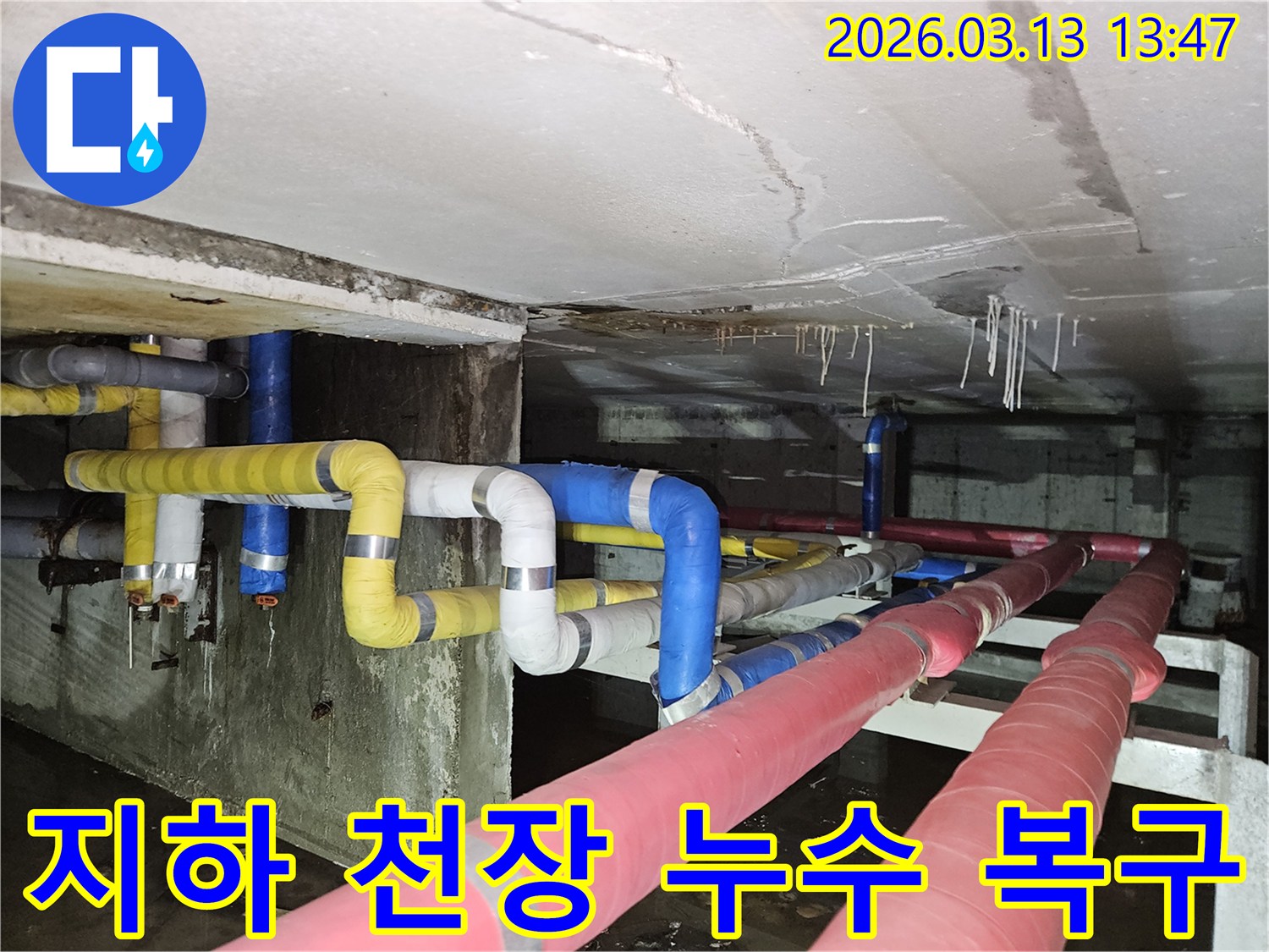 지하 천장의-배관에서 발생한-누수로 인해-물이 떨어지고-바닥에 고인 상황을-보여주는 현장 사진