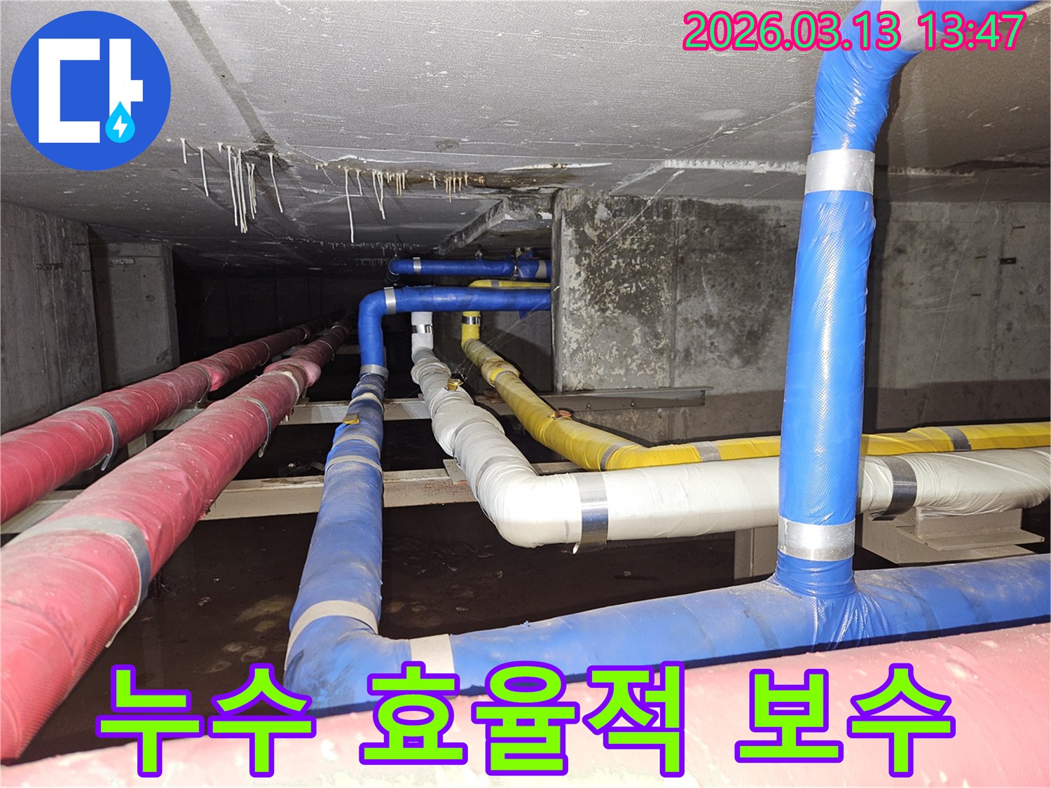 천장-아래-복잡한-배관들에서-발생한-누수를-탐지한-후-가장-효율적인-방법으로-보수하는-전문가의-모습