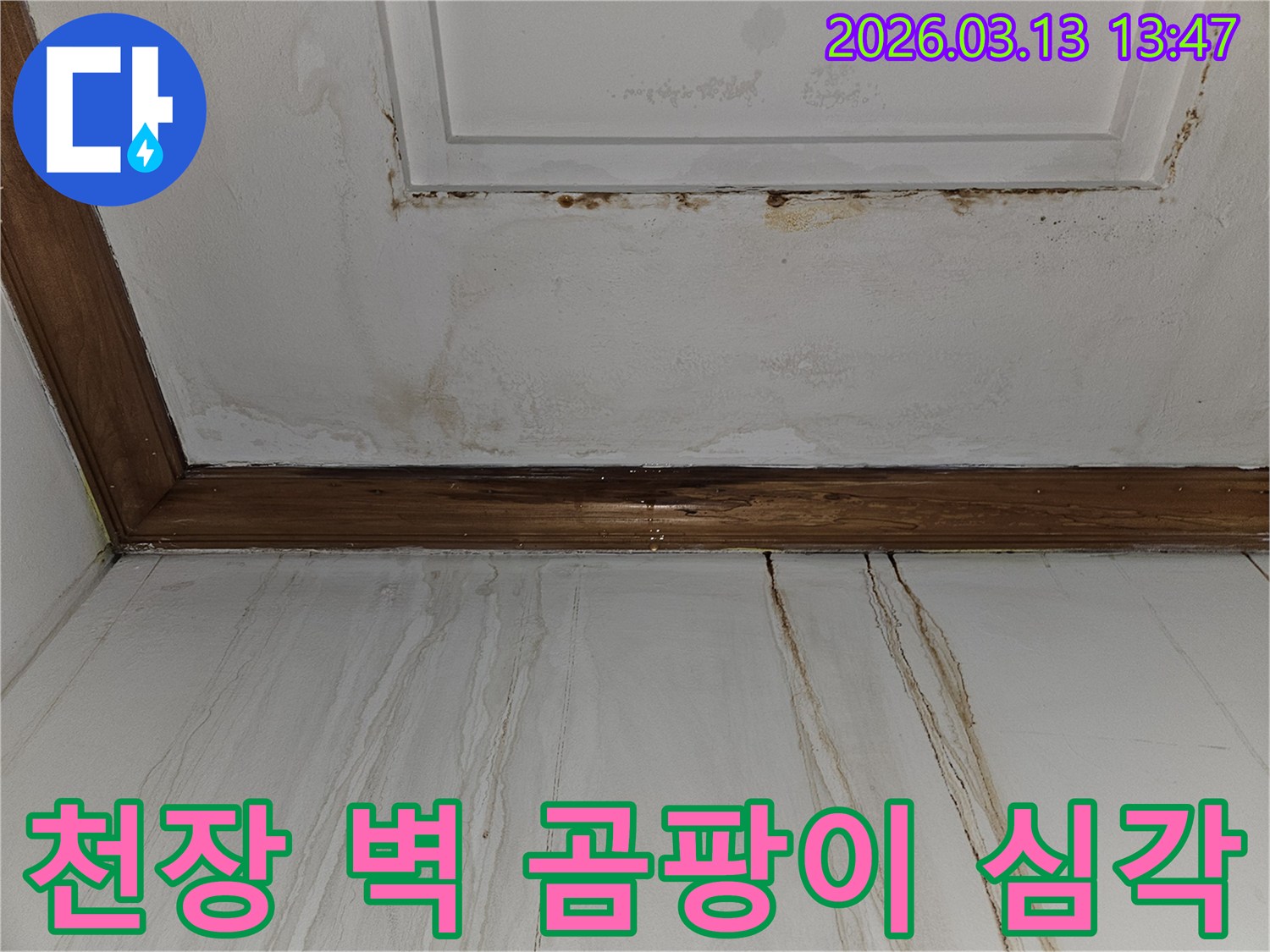 천장과 벽면에 광범위하게 퍼진-갈색 물자국과 곰팡이를 보여주는-심각한 누수 피해 현장