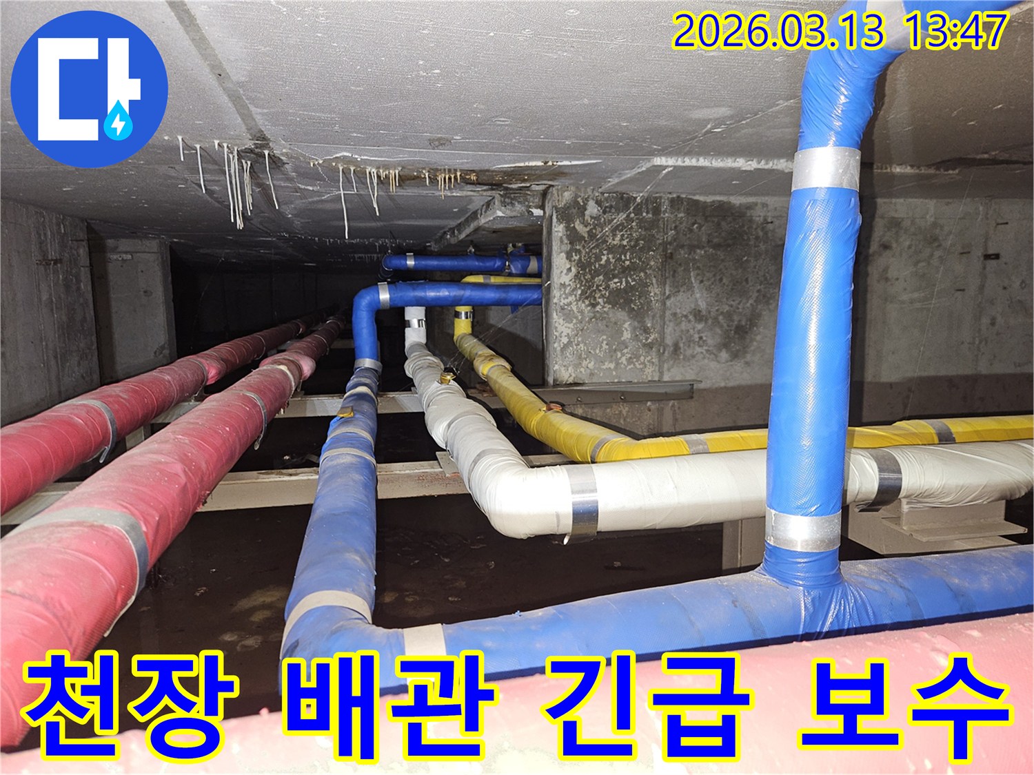 천장에서-물이-떨어지는-긴급한-배관-누수-상황을-전문가가-신속하게-진단하고-대응하는-모습