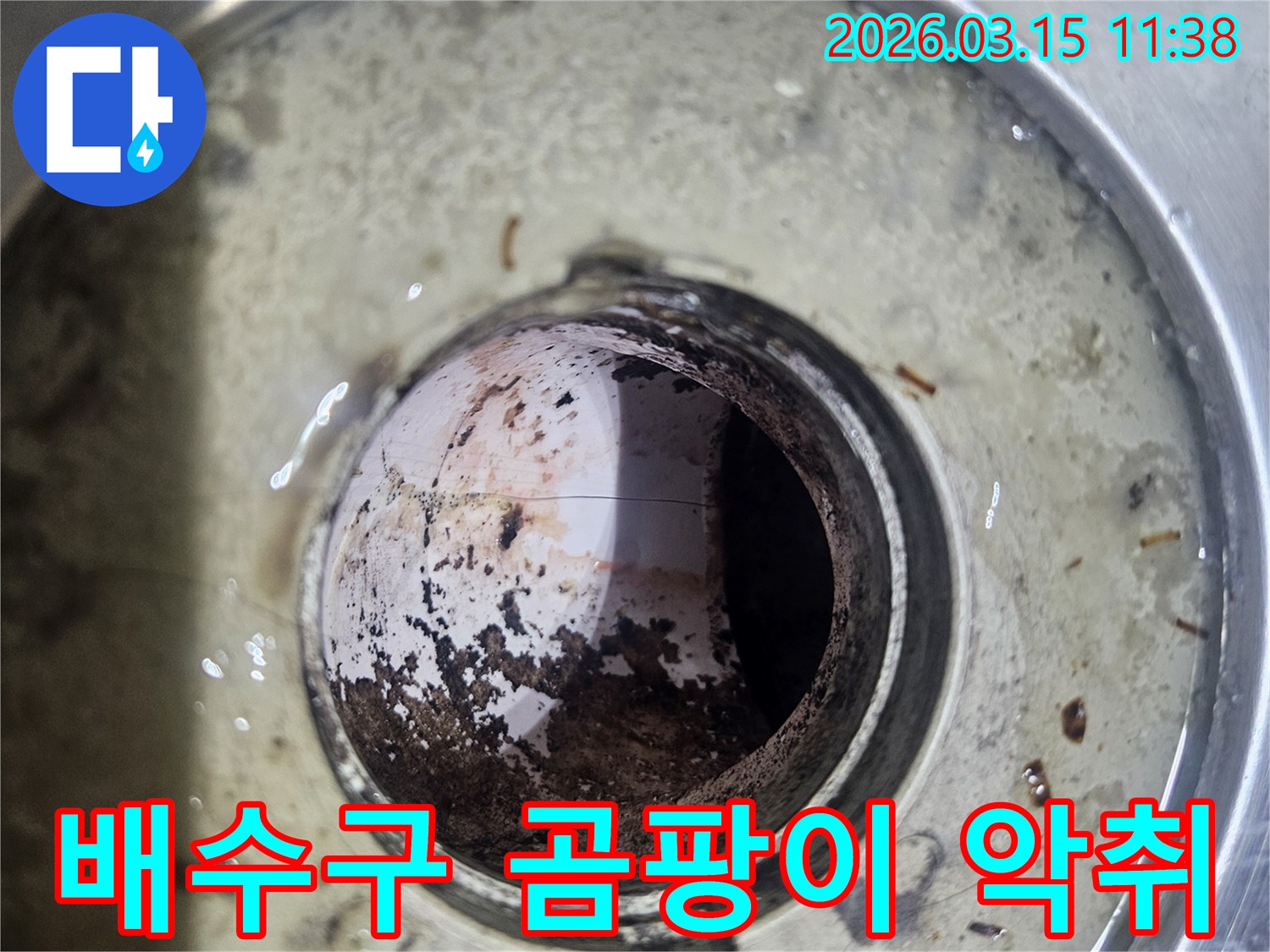 배수구-내부에-오염물과-슬러지가-쌓여-곰팡이와-세균이-번식하며-악취를-유발하는-모습을-담은-사진입니다