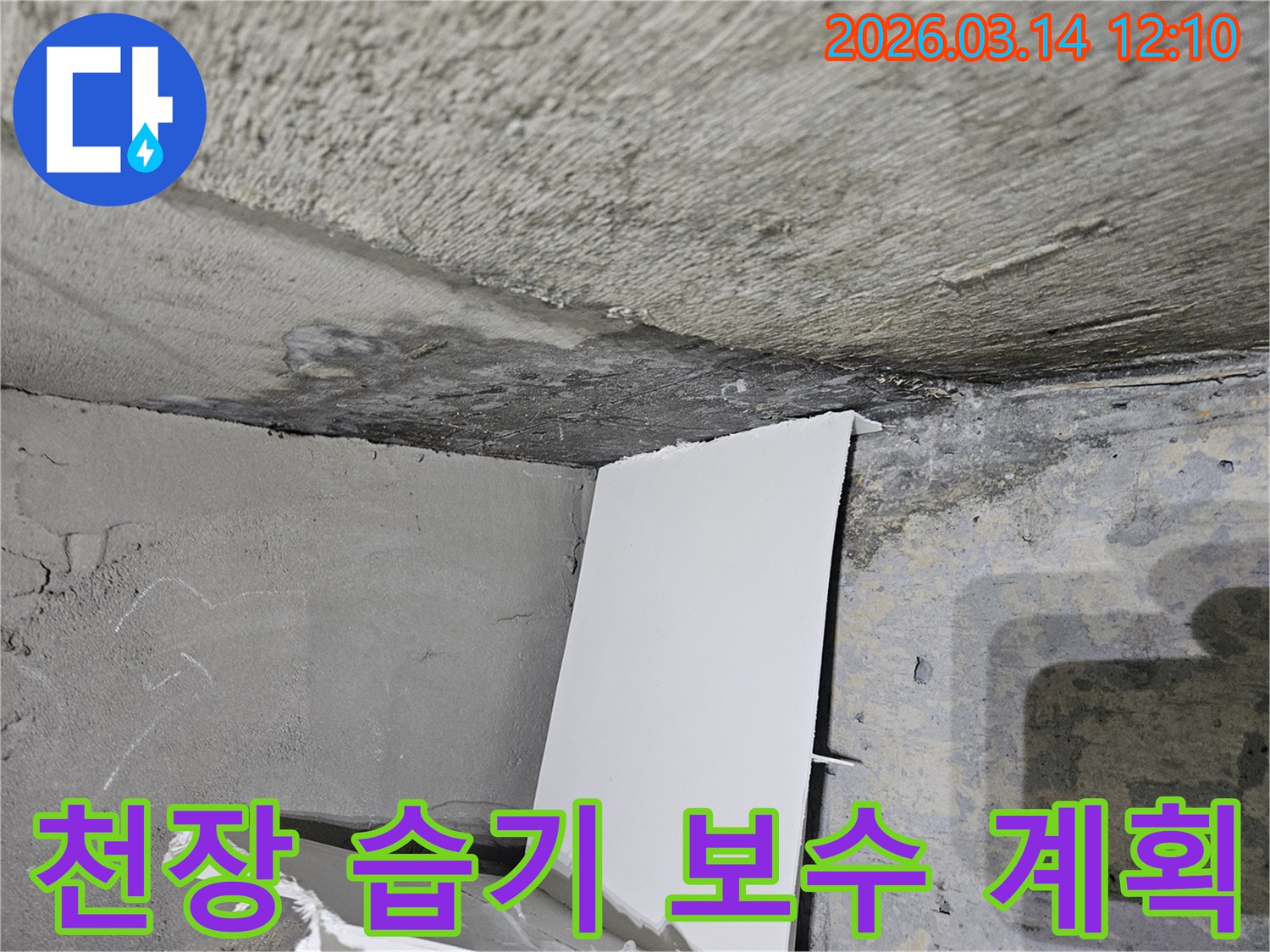 젖은 콘크리트 천장과-벽면-모서리에서-누수 보수-계획을-수립하는-현장 이미지