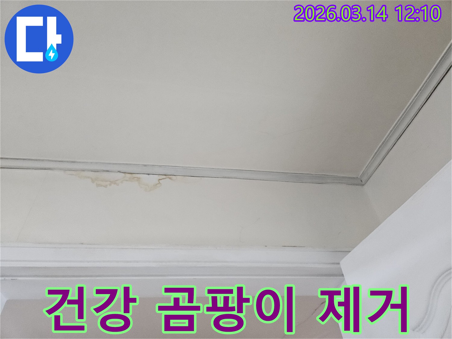 천장-모서리에-발생한-누수-흔적과-함께-곰팡이가-시작된-모습을-보여주며-건강을-위협하는-곰팡이-제거의-필요성을-강조하는-사진입니다