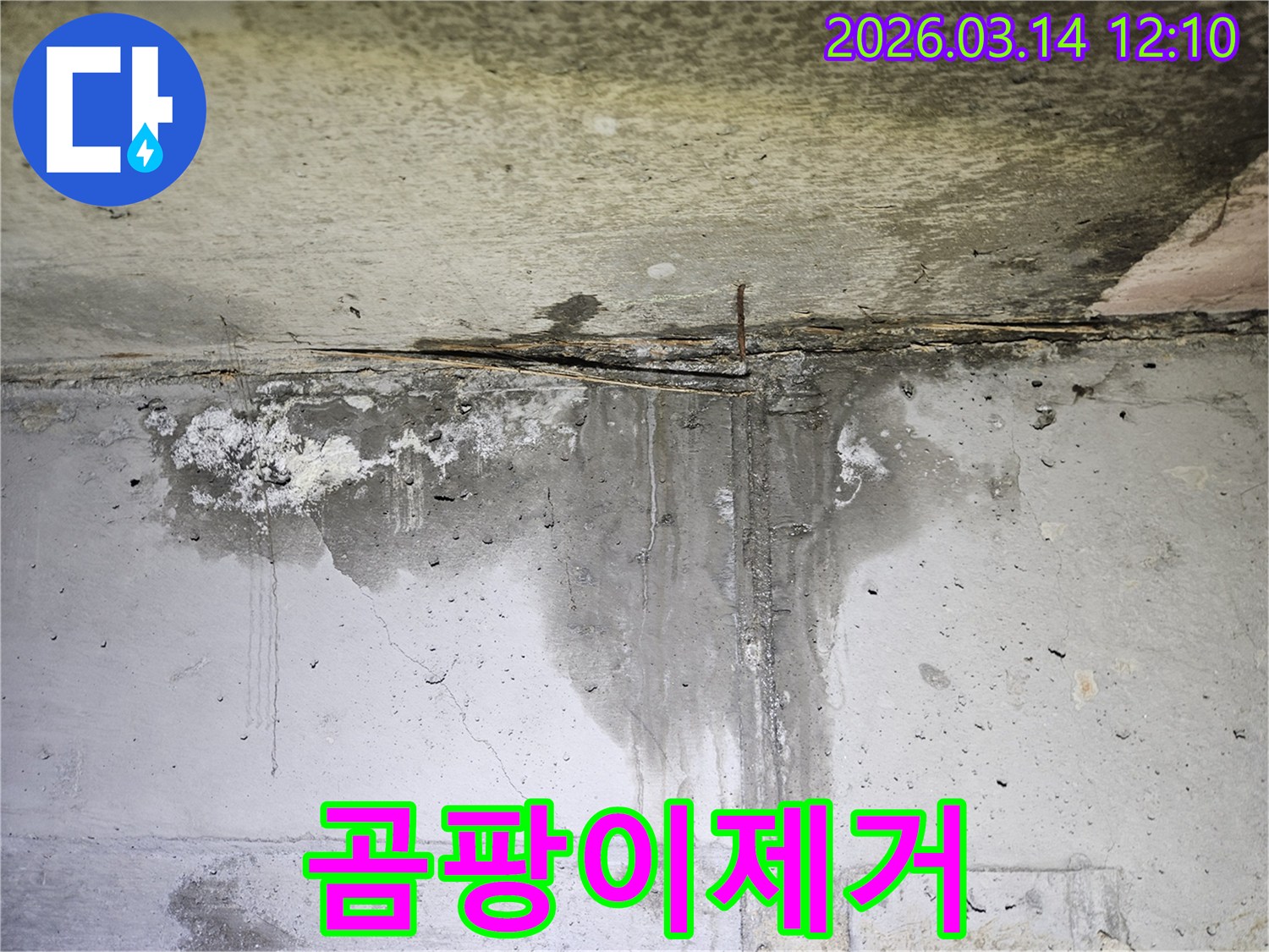 콘크리트 벽면에 물이 흐르고-오랜 누수로 인해 얼룩진 자국과 습기가 가득한 현장