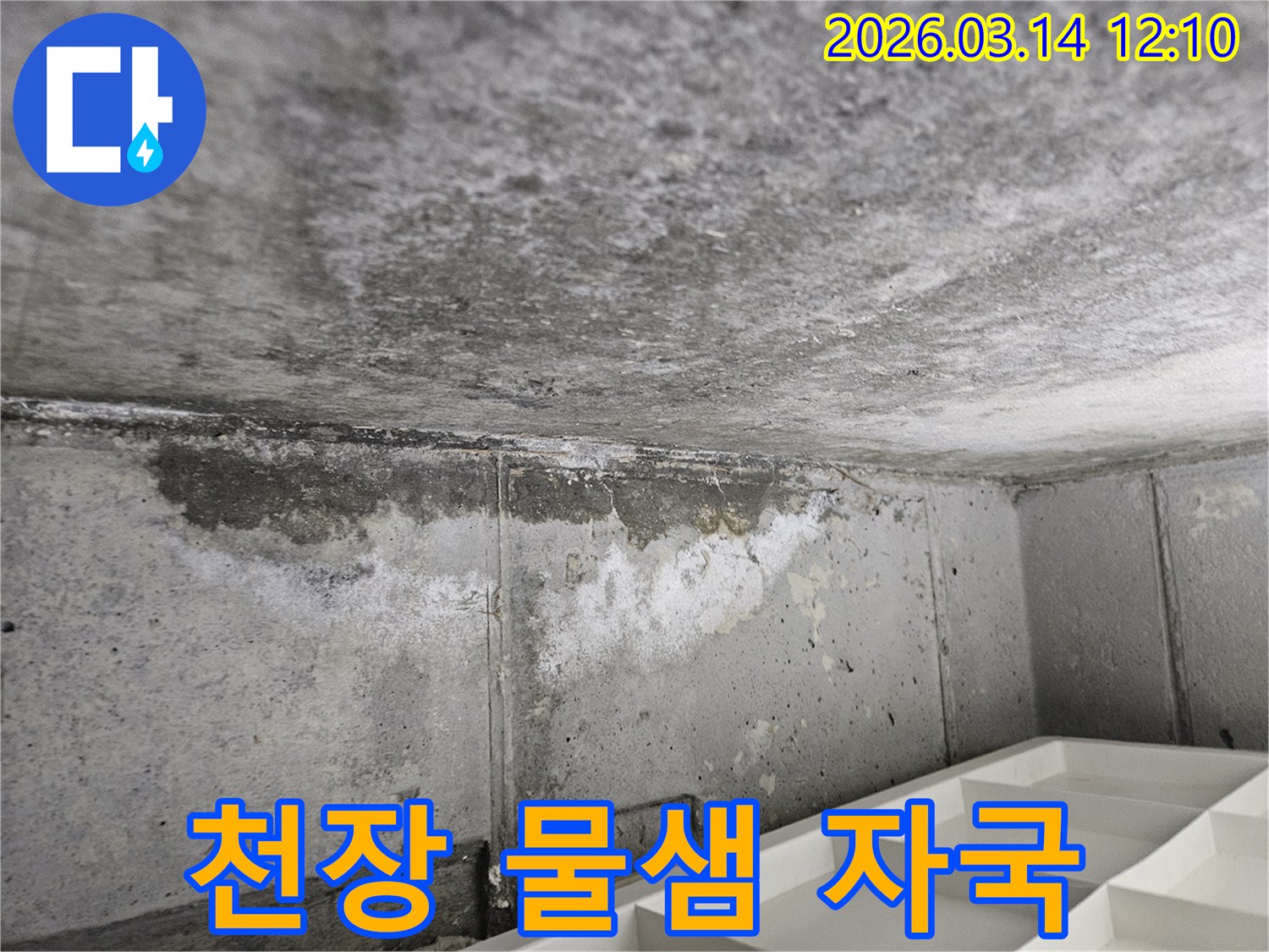 콘크리트-천장과-벽면-경계에서-발생한-물샘-자국과-오염-현상