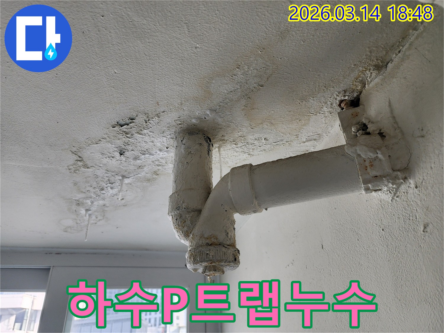 천장의-하수-P트랩-배관에서-물이-새어-나와-배수-기능에-문제가-있음을-보여주는-사진