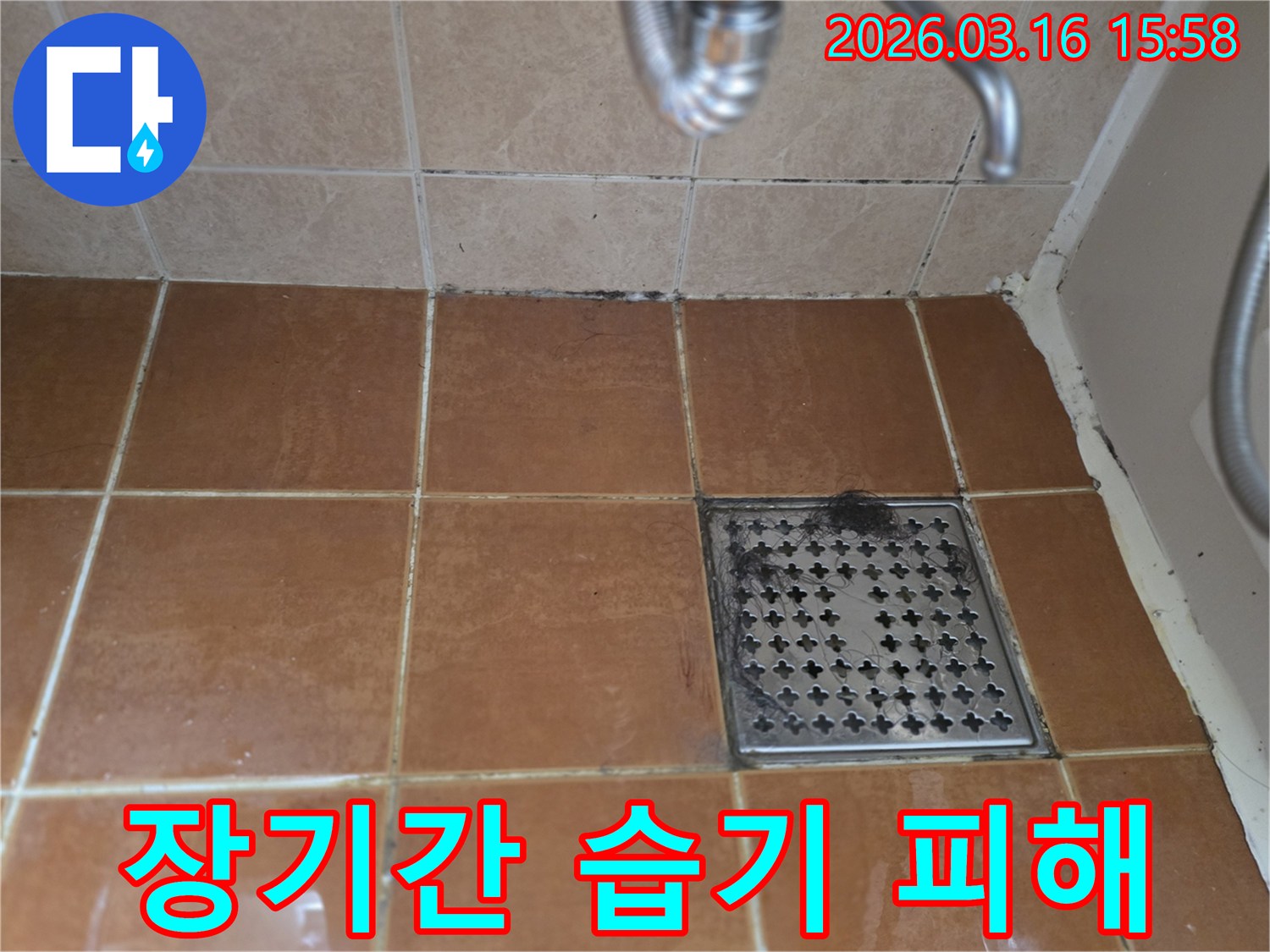 욕실 바닥 타일의-전반적인 오염-줄눈의 변색-벽면 하단의 곰팡이가-장기간 습기 노출로 인한-누수 발생의-시각적 증거임을-보여주는 이미지입니다