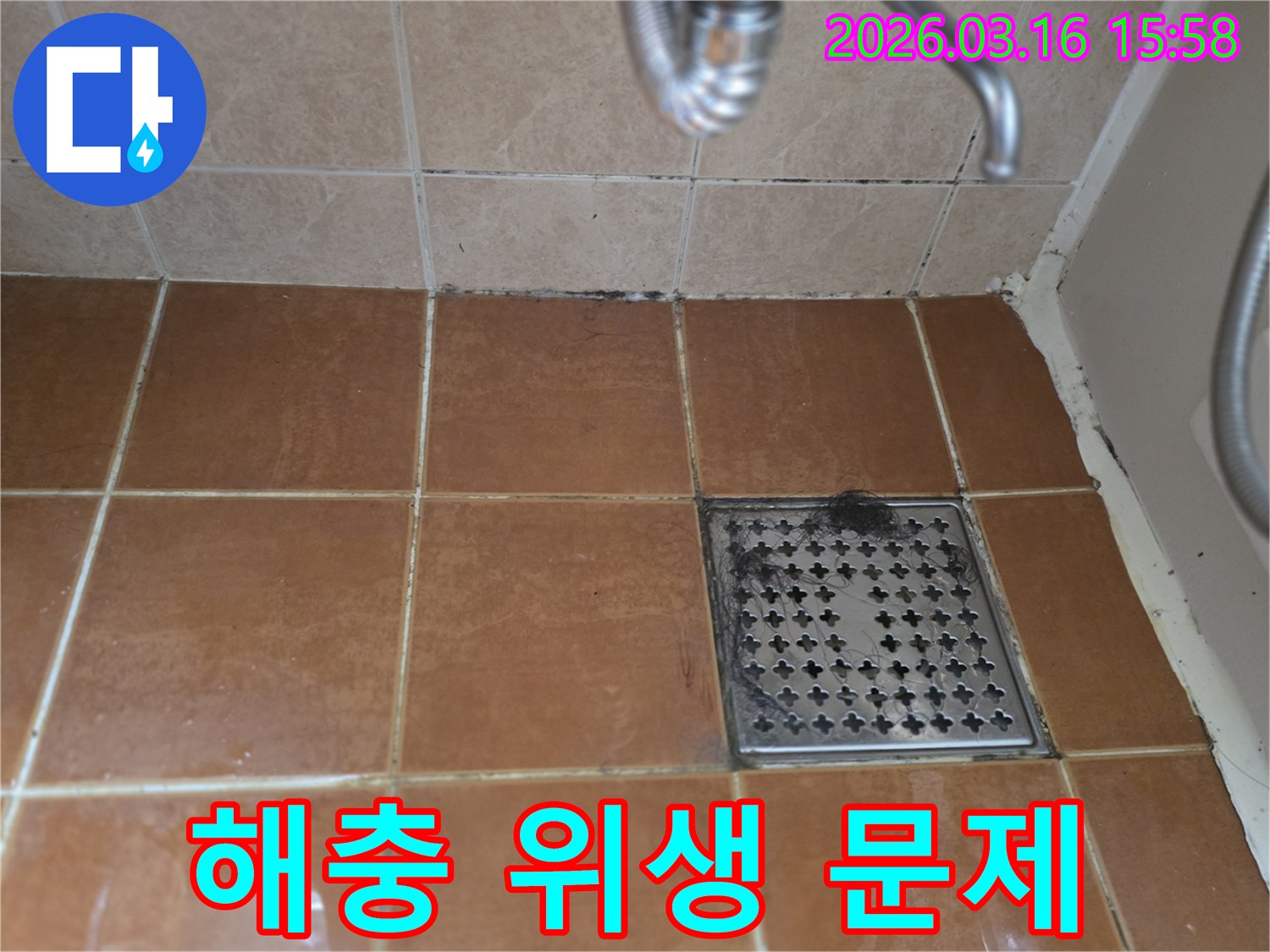 욕실 바닥의-오염된 줄눈-배수구의 이물질-벽면 하단의 곰팡이가-누수로 인한-습한 환경이-해충 번식과-위생 문제로-이어질 수 있음을-보여주는 이미지입니다