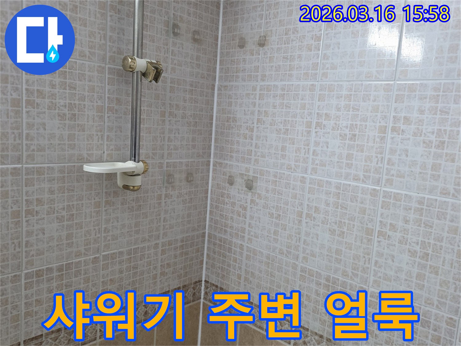 욕실 천장 타일에 물이 새어 생긴 얼룩과-샤워기 주변의 연관성을 누수 전문가가 탐색하는 모습