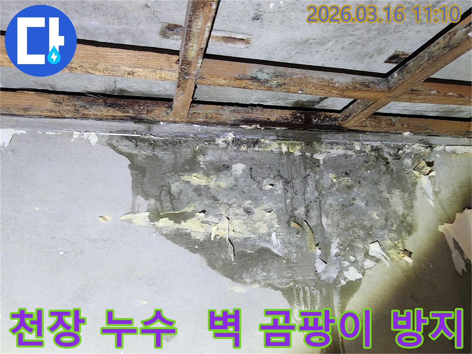 천장 누수로 인해 벽면이 젖고-곰팡이가 심하게 번식한 주택 내부에서-곰팡이 방지 솔루션이 필요한 현장