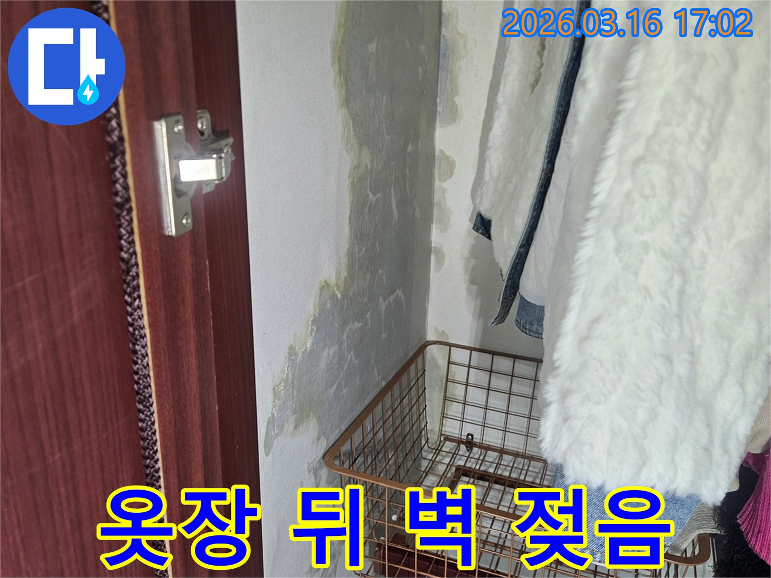 가구 뒤편- 벽면에 발생한- 물자국과- 곰팡이로 인한- 오염 상태